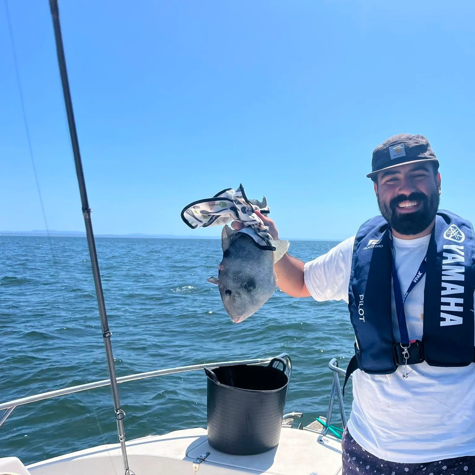The most recent Grey triggerfish catches on Fishbrain