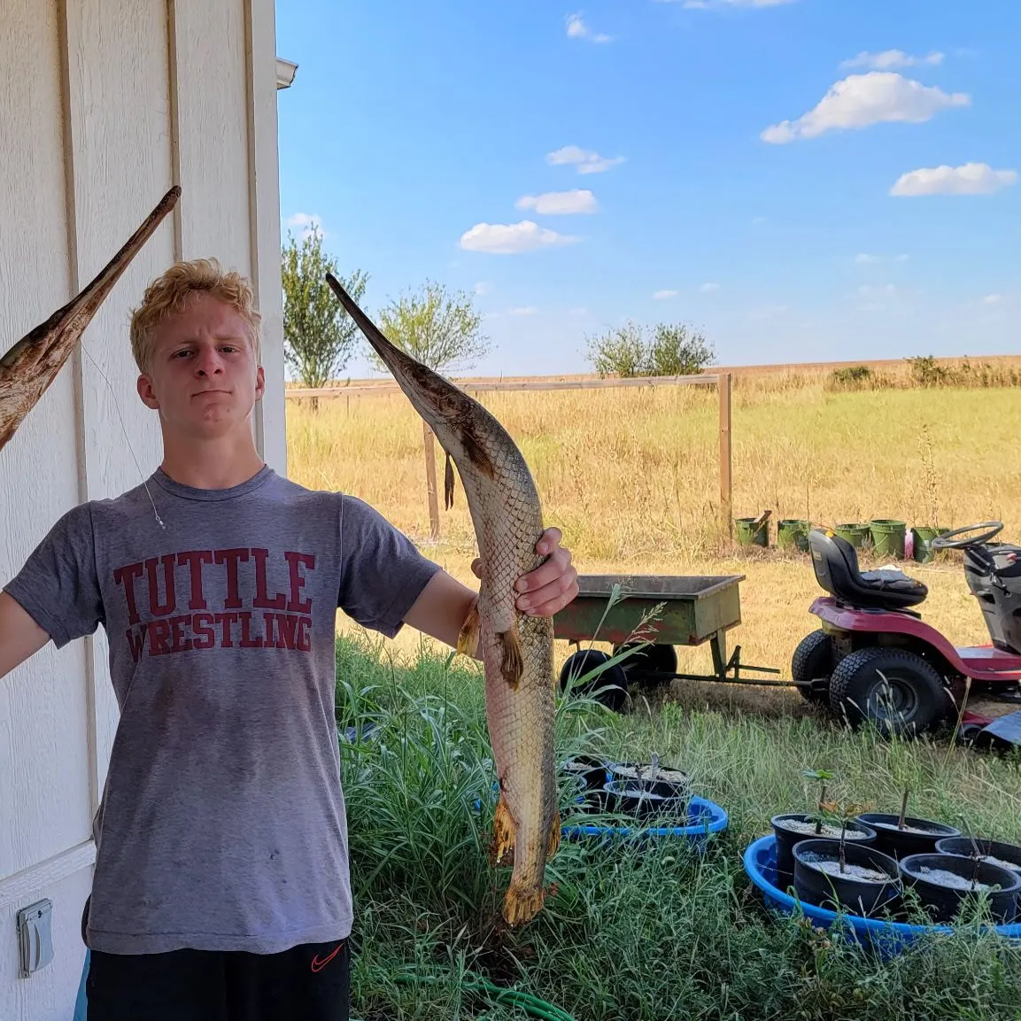 Longnose gar caught on Fishbrain