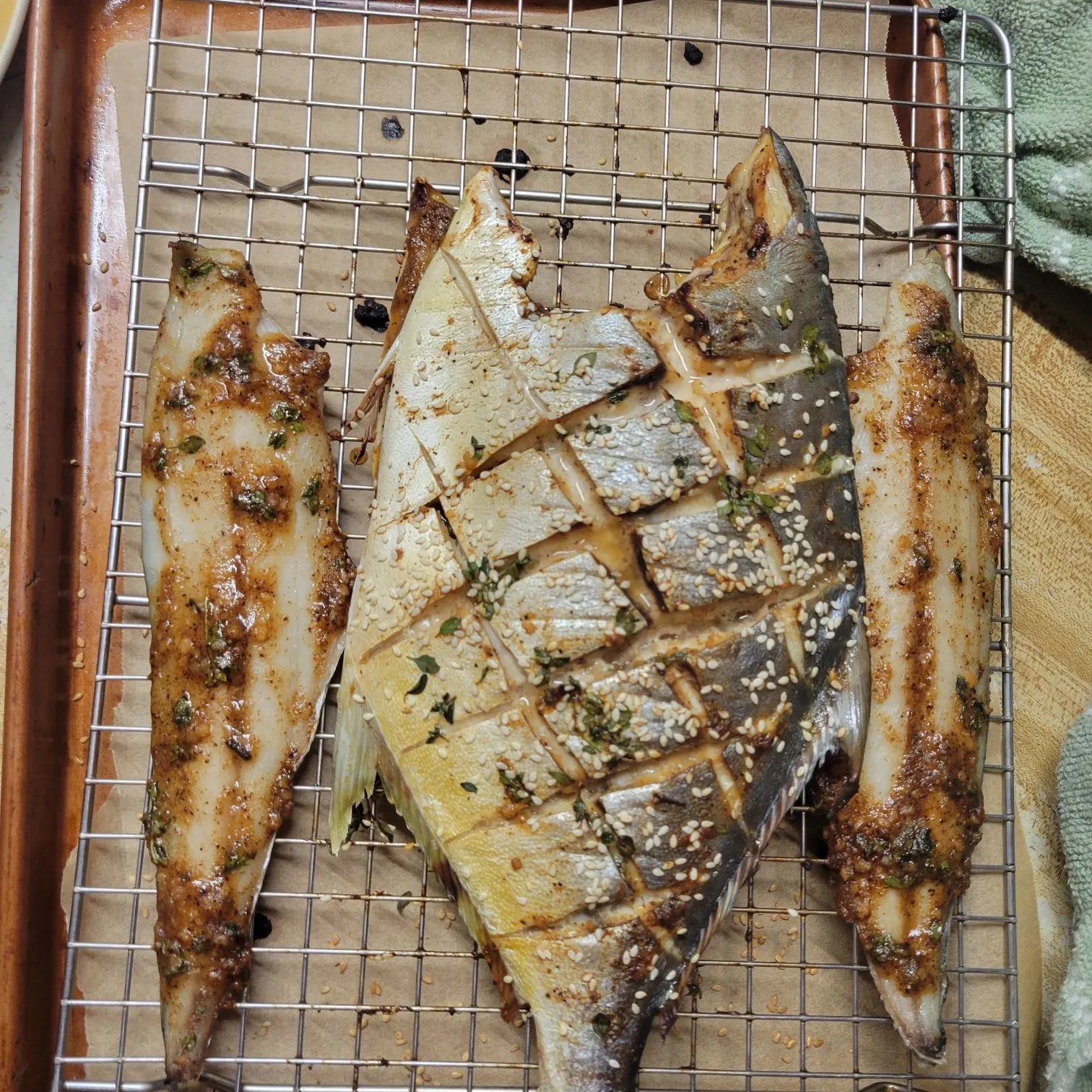 The most recent Florida pompano catches on Fishbrain