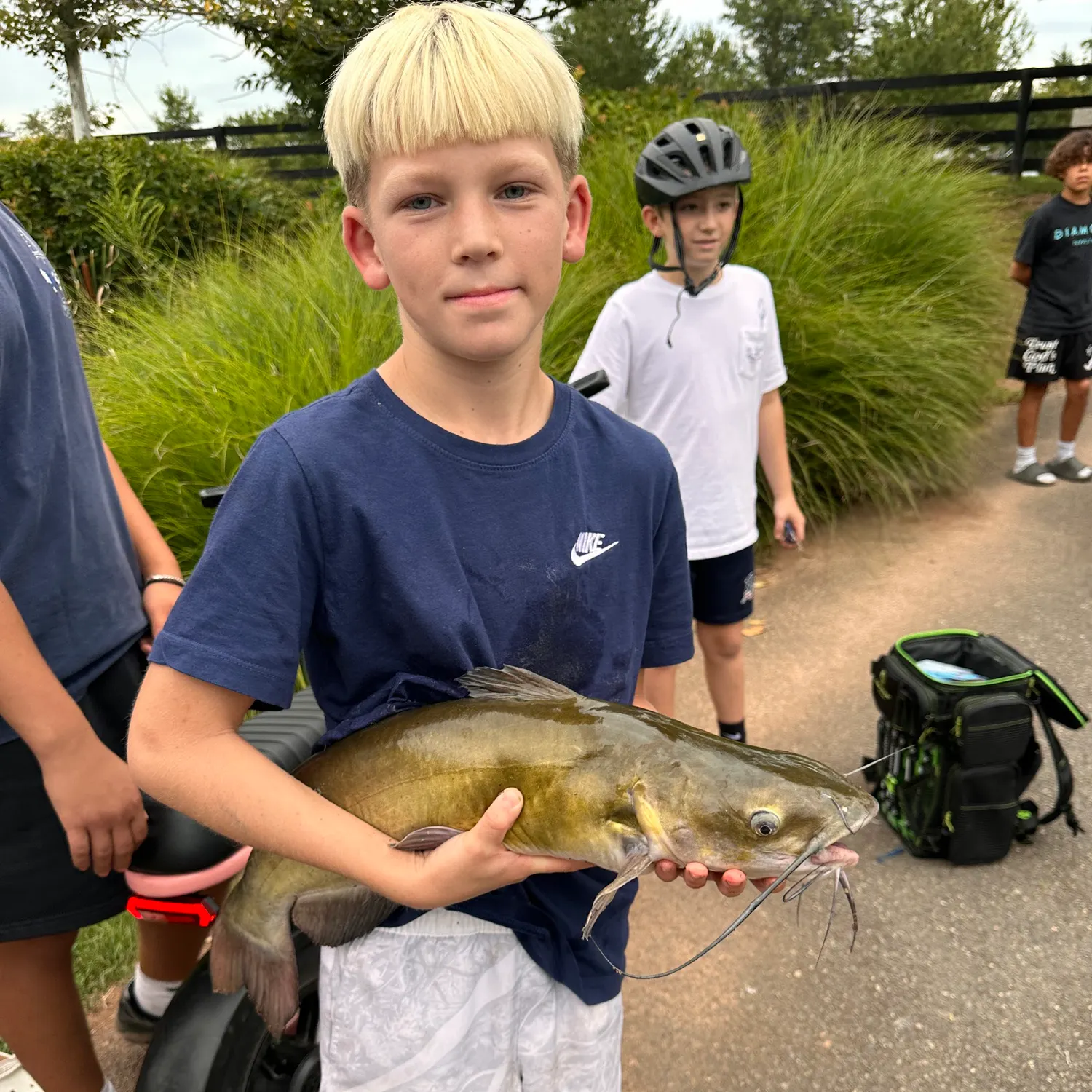 Channel catfish caught on Fishbrain