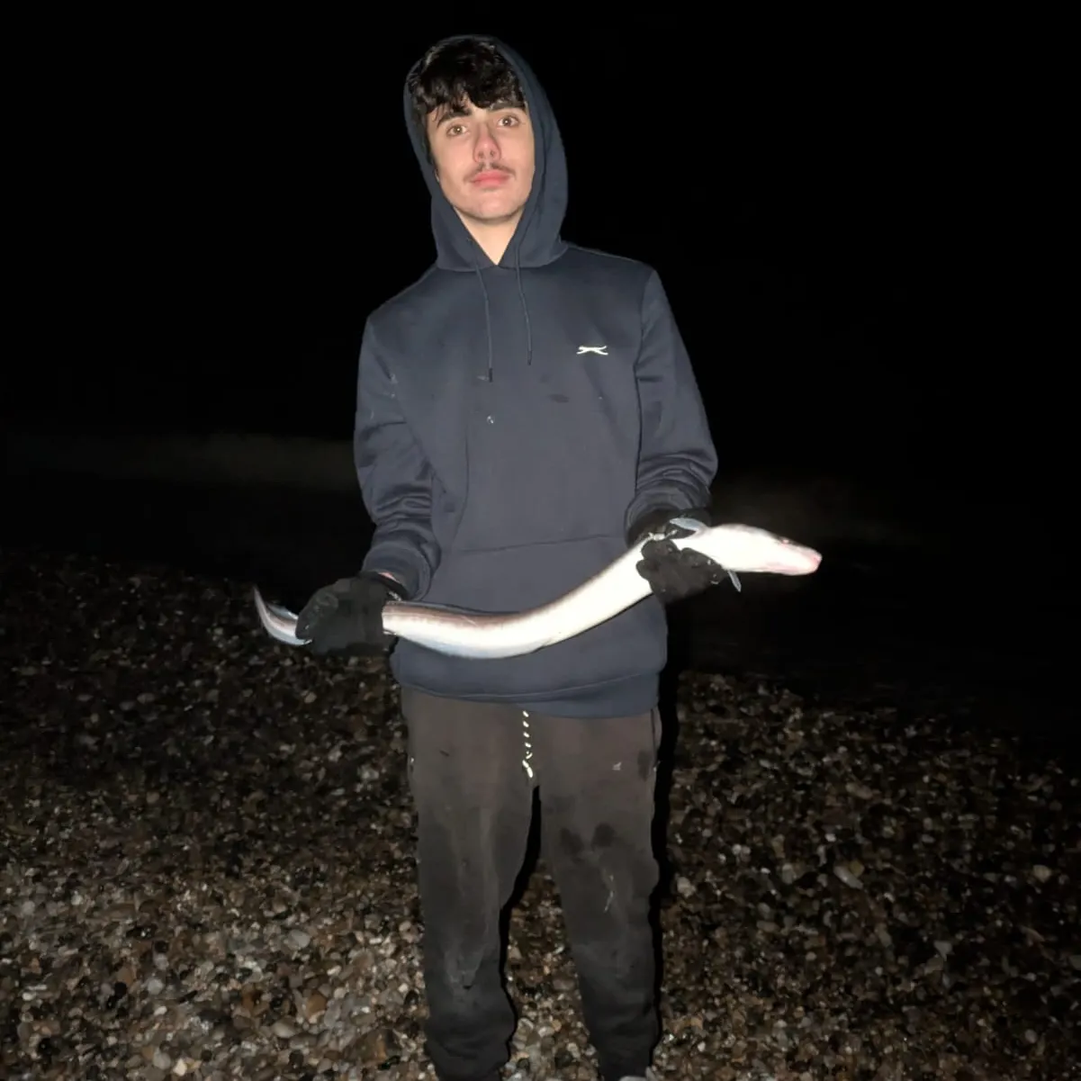The most recent European conger catches on Fishbrain