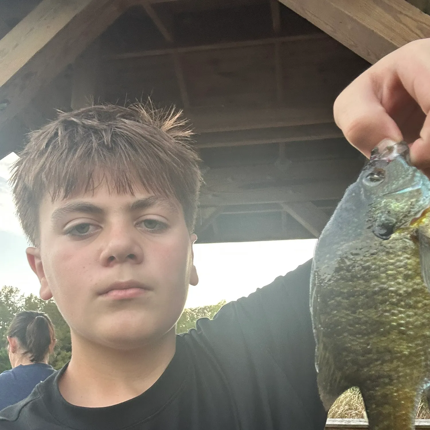 Bluegill caught on Fishbrain