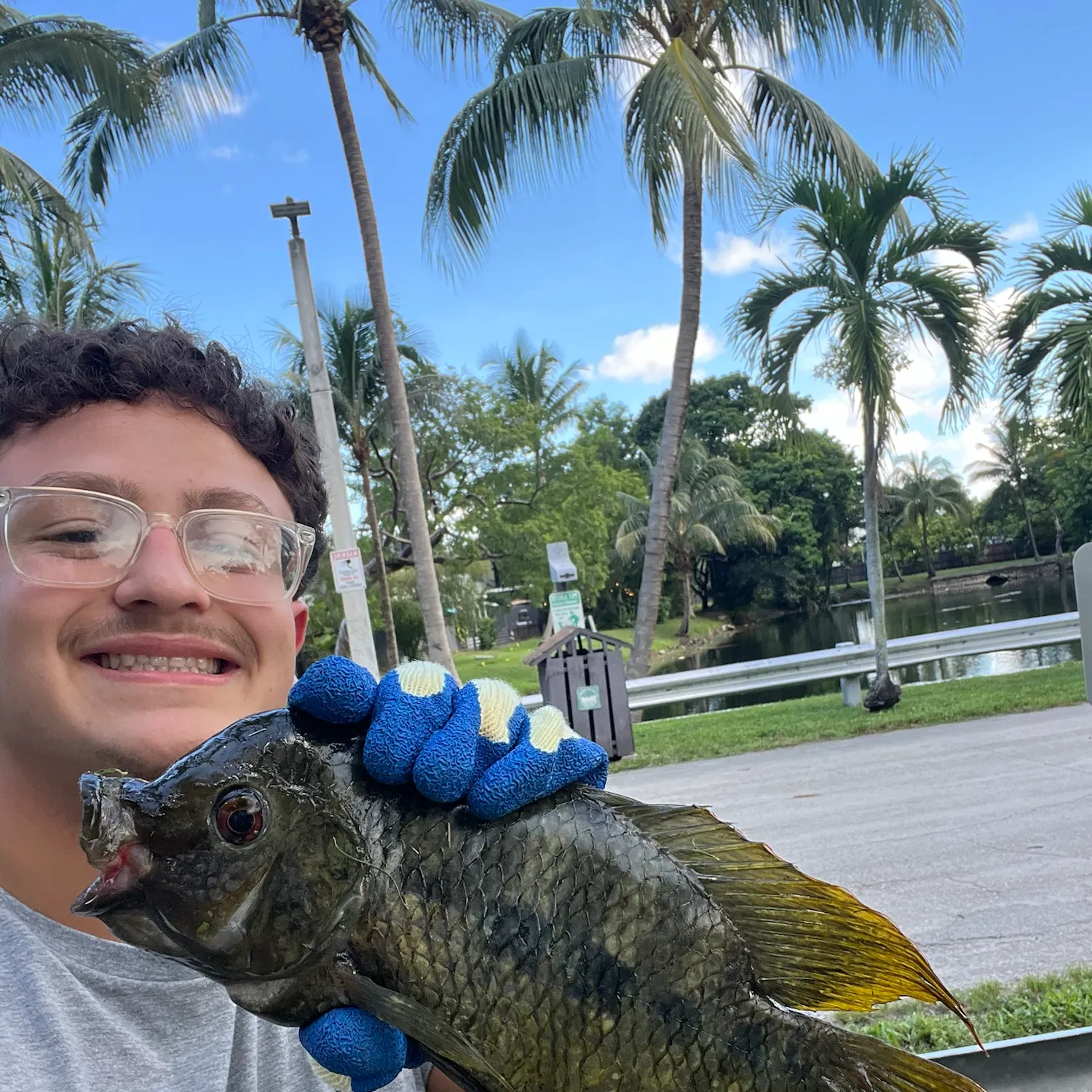 Spotted tilapia caught on Fishbrain