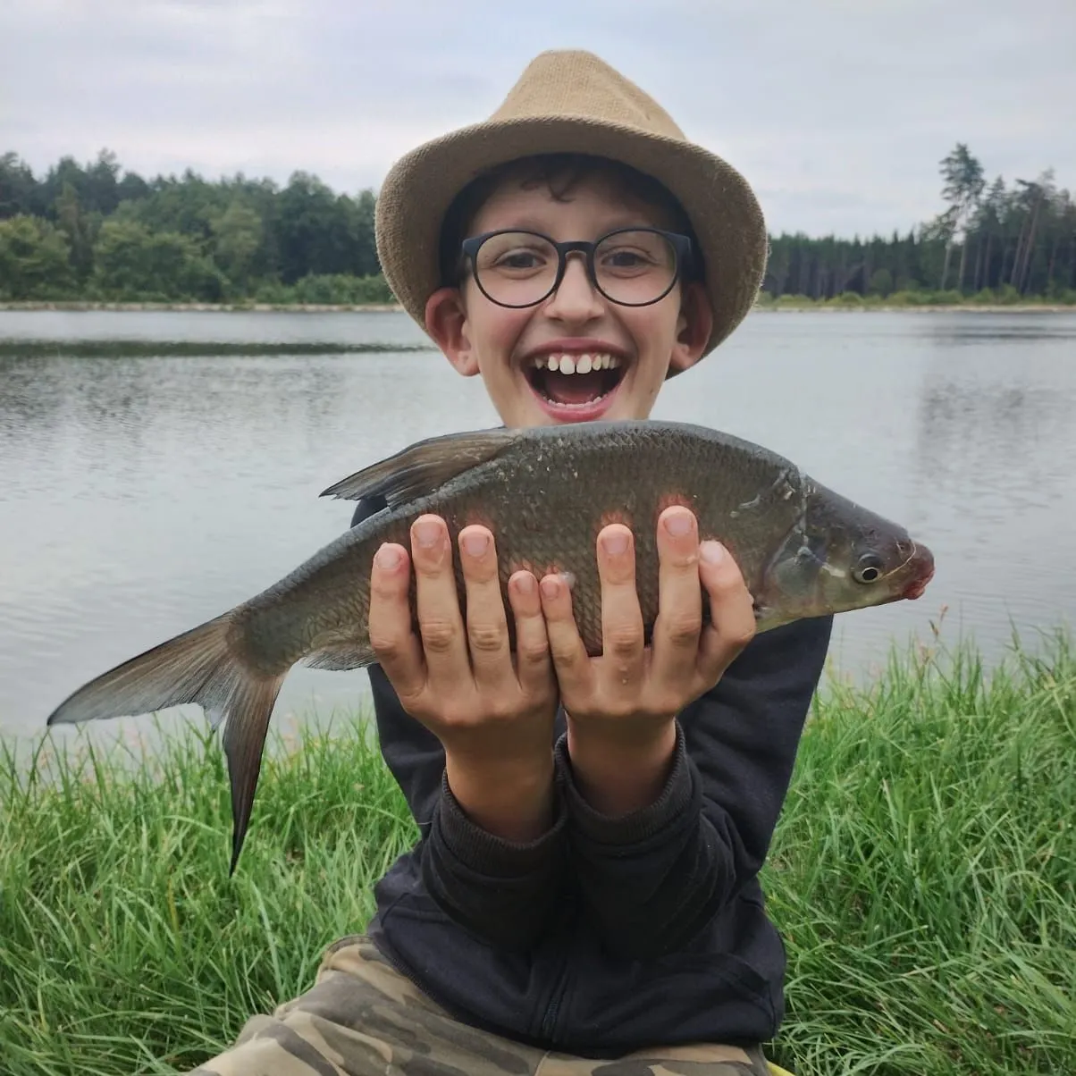 The most recent Common bream catches on Fishbrain