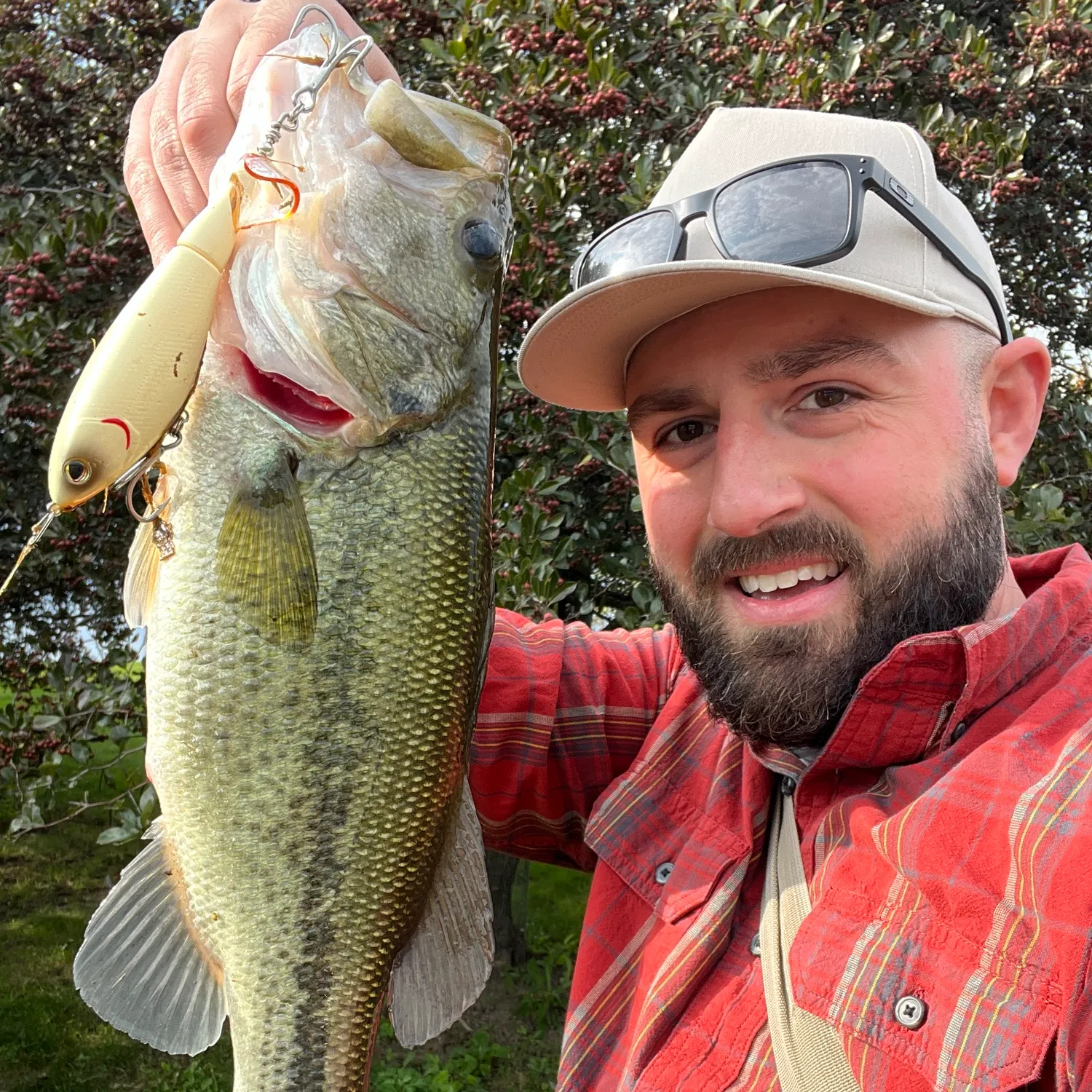 Largemouth bass caught on Fishbrain