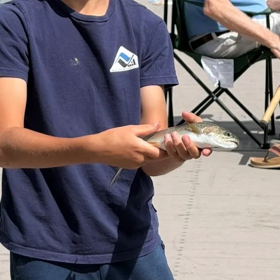 Brook trout caught on Fishbrain