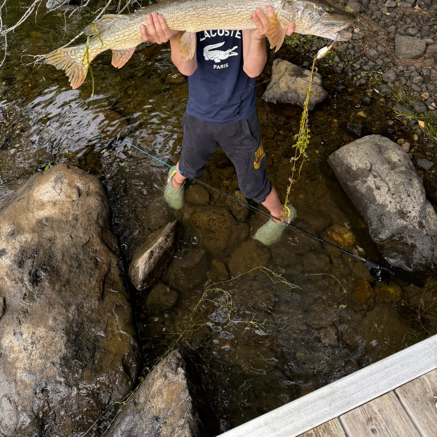The most recent Northern pike catches on Fishbrain