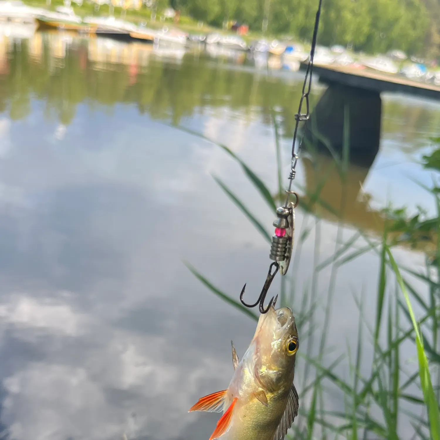 catch