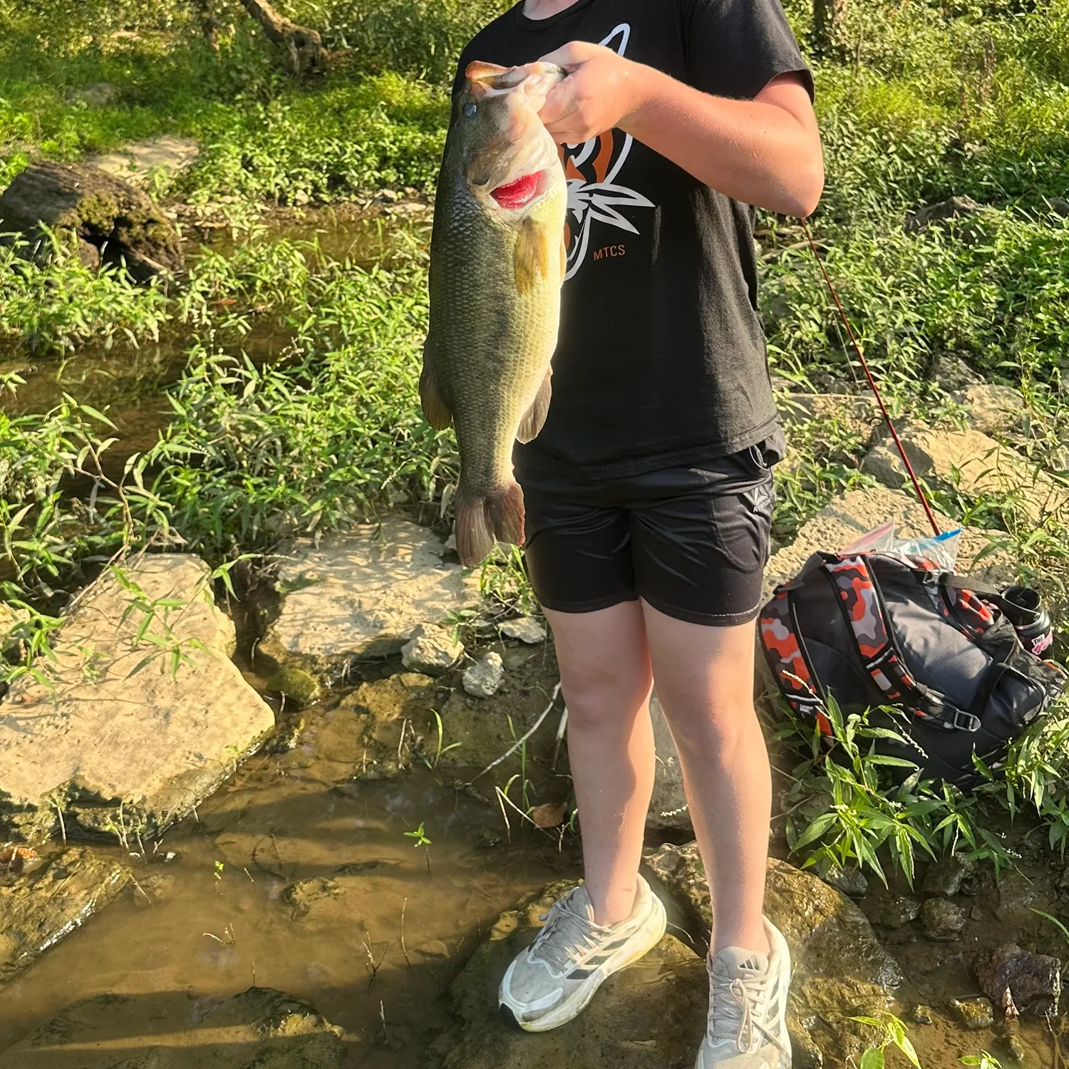 Largemouth bass caught on Fishbrain