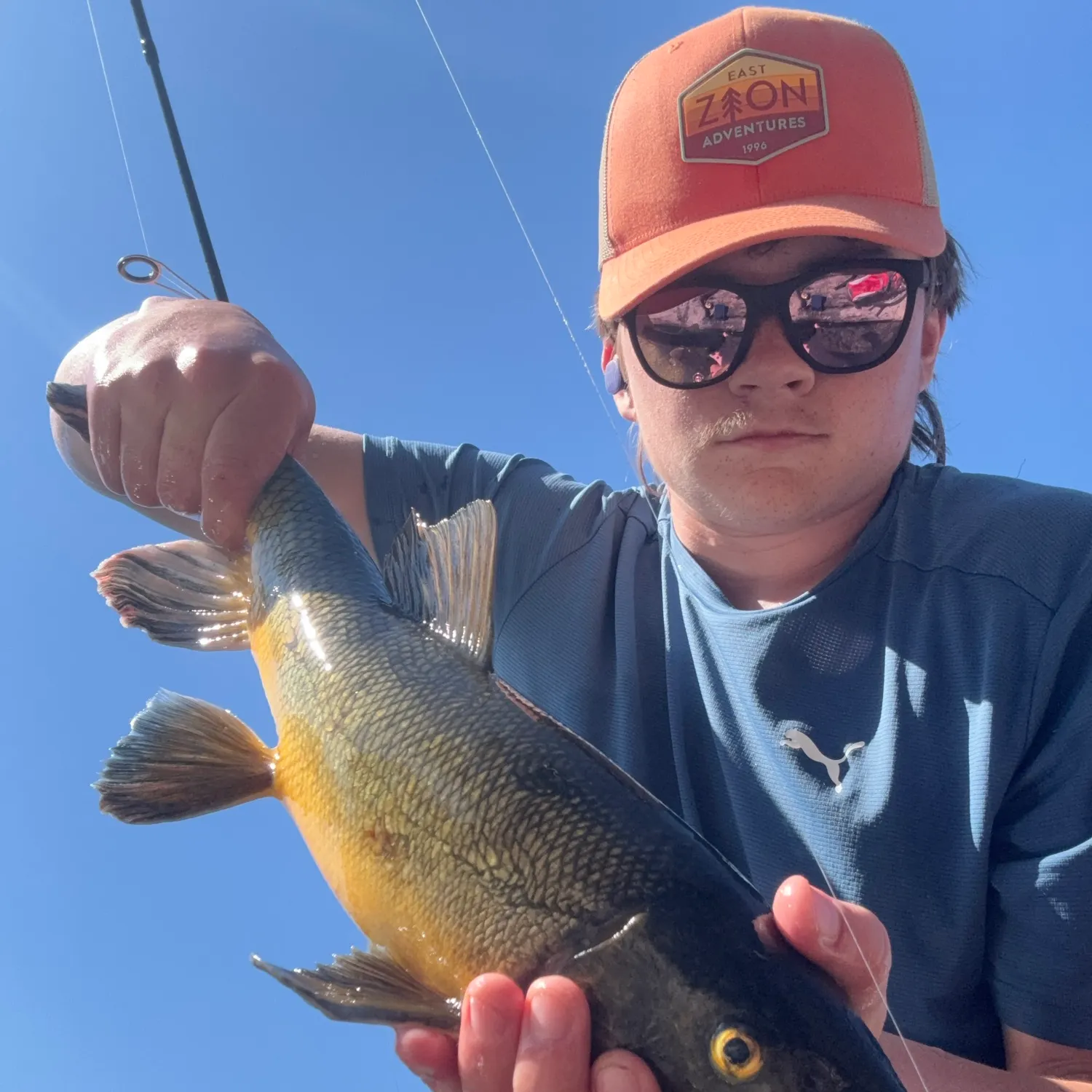 The most recent Largescale sucker catches on Fishbrain