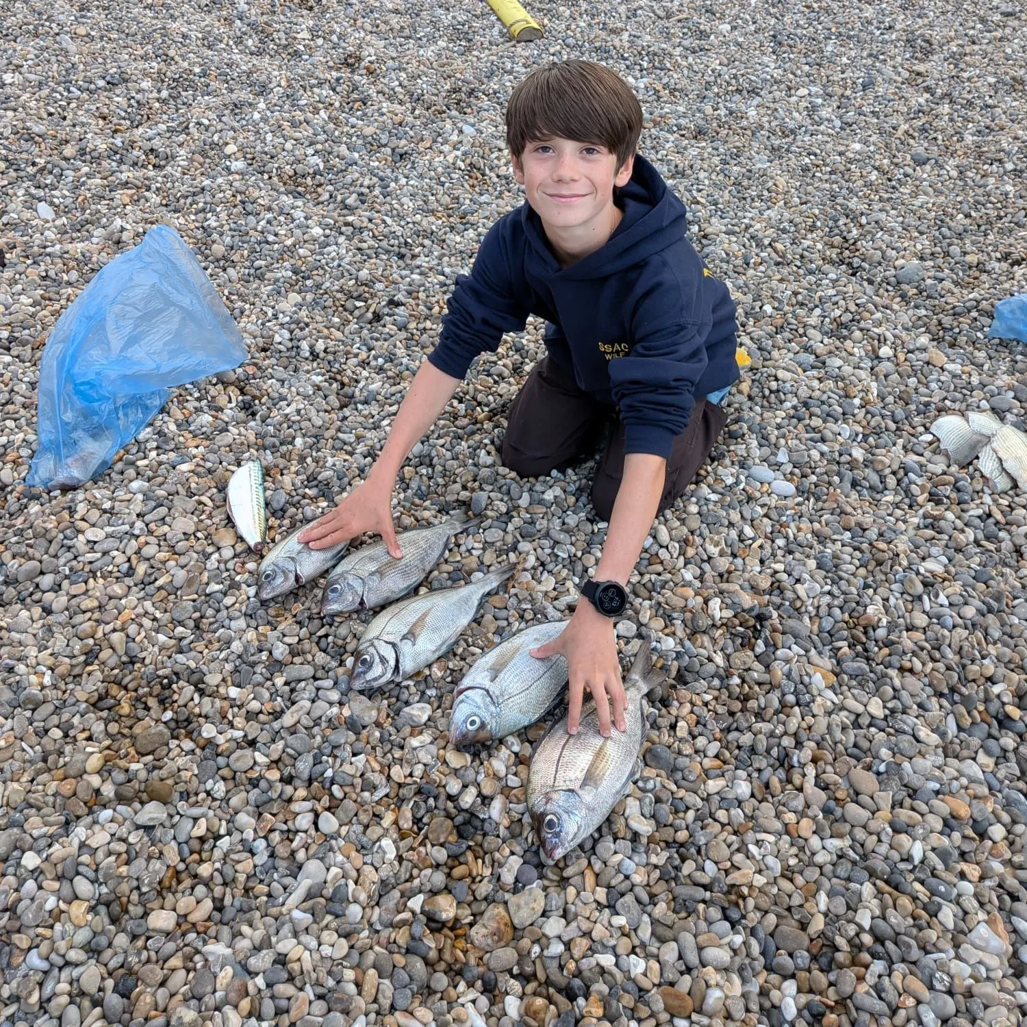 The most recent Black seabream catches on Fishbrain