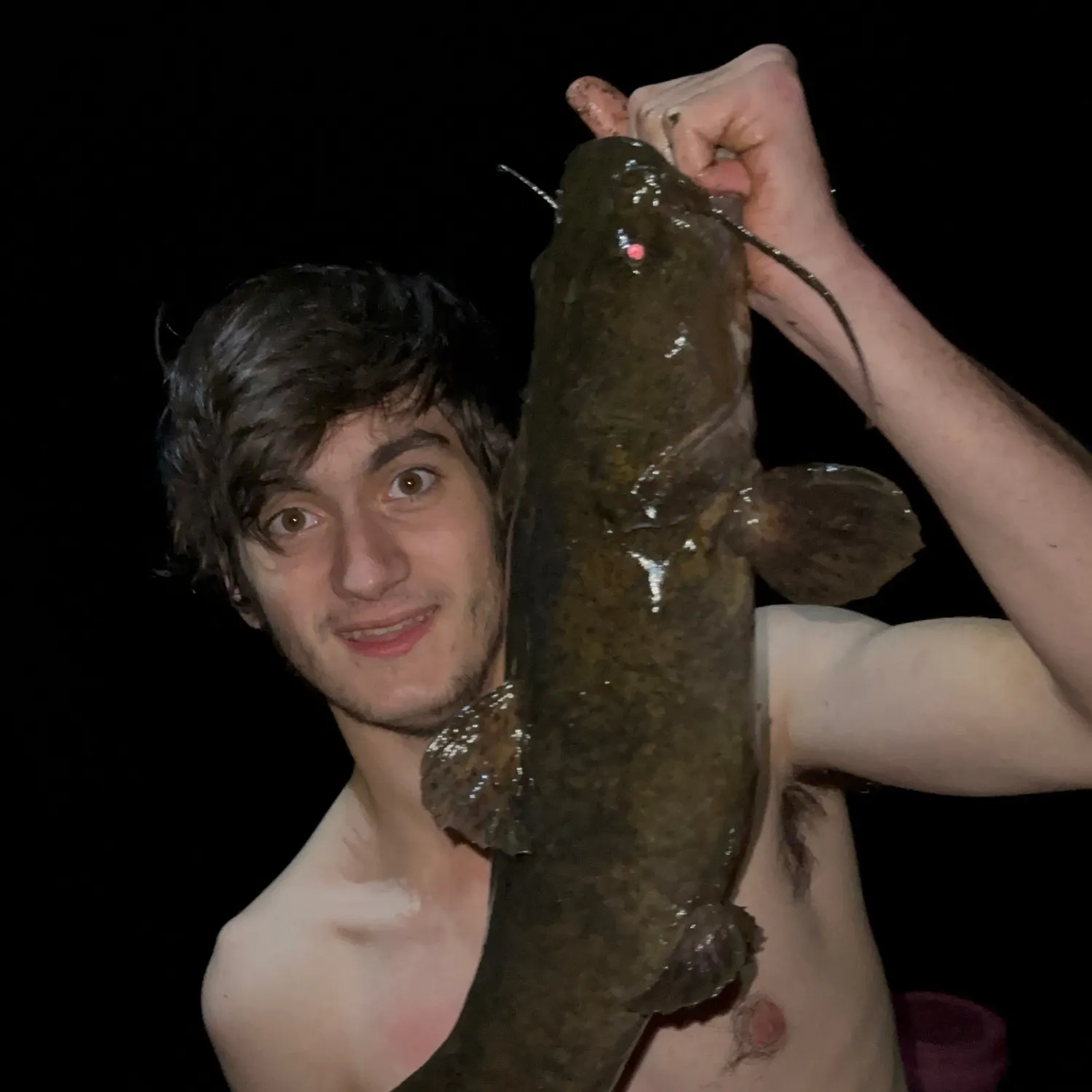 Flathead catfish caught on Fishbrain