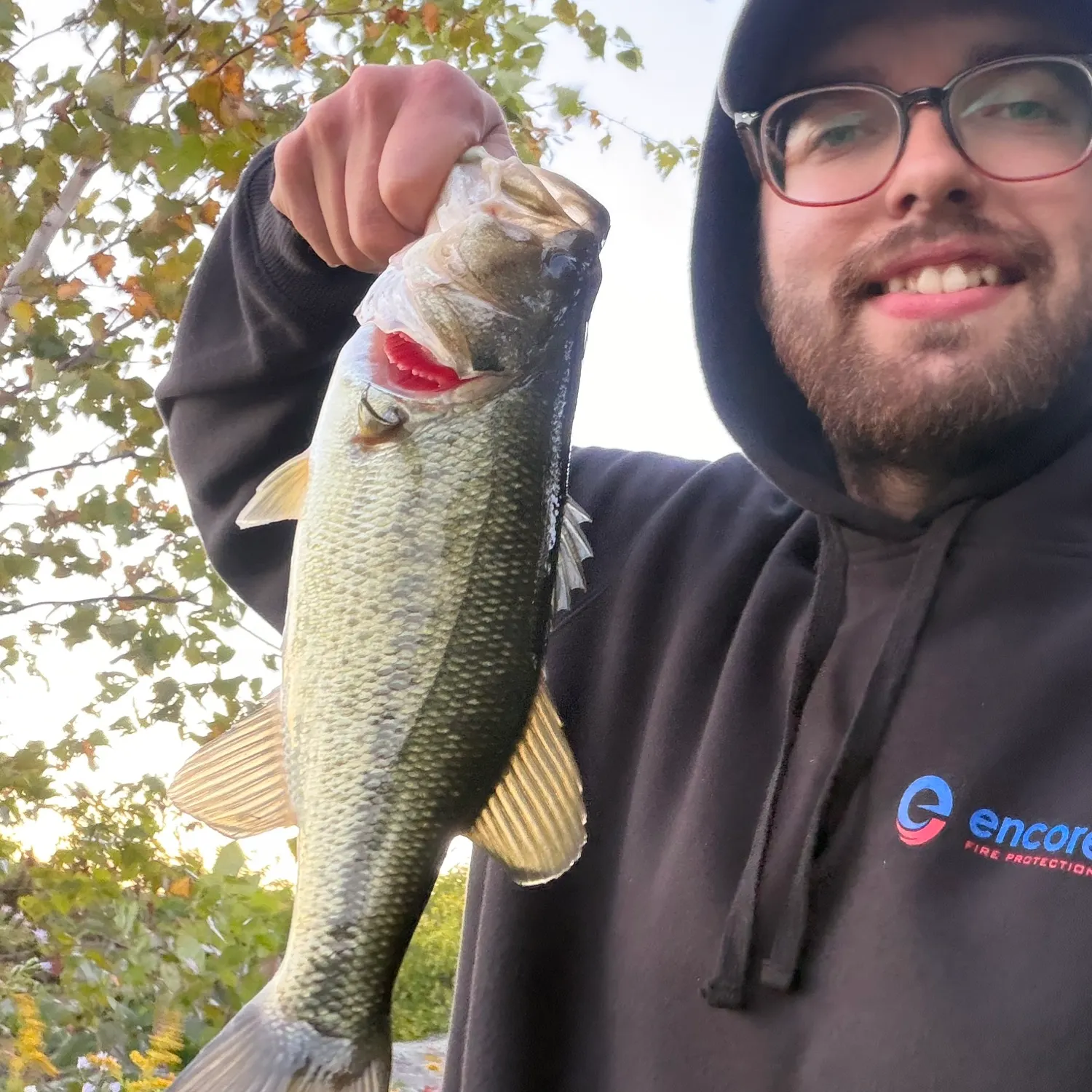 Largemouth bass caught on Fishbrain