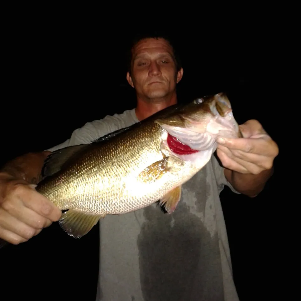 angler catch