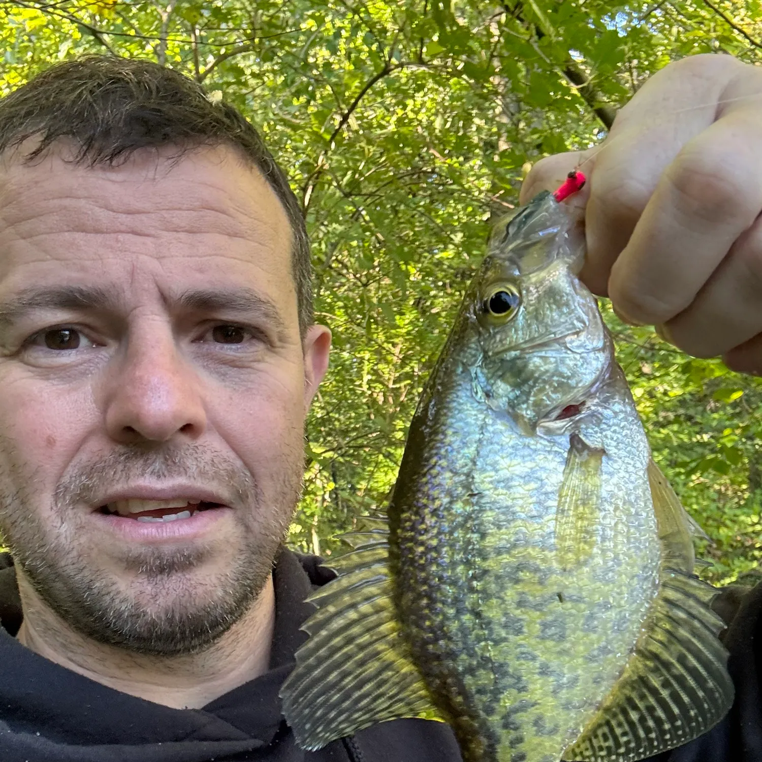 Black crappie caught on Fishbrain