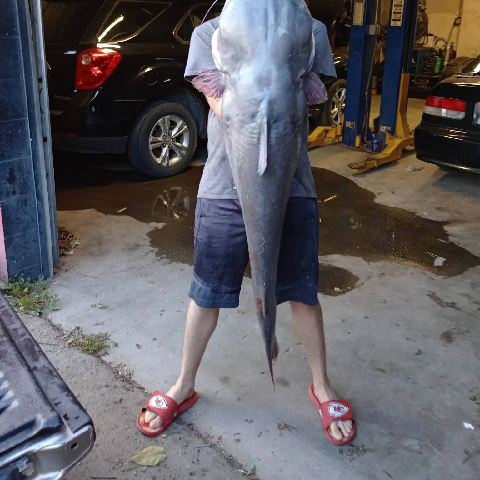 angler catch
