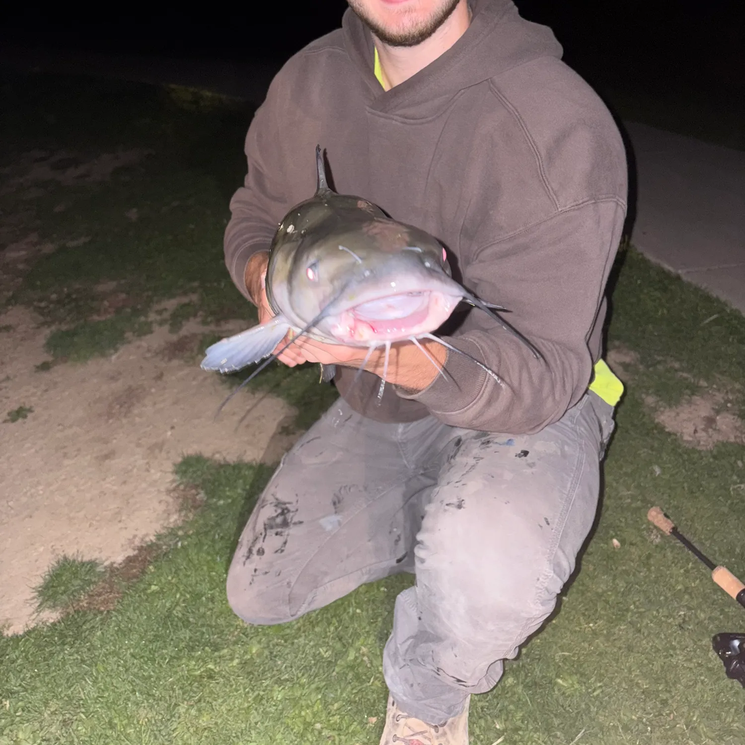 Channel catfish caught on Fishbrain