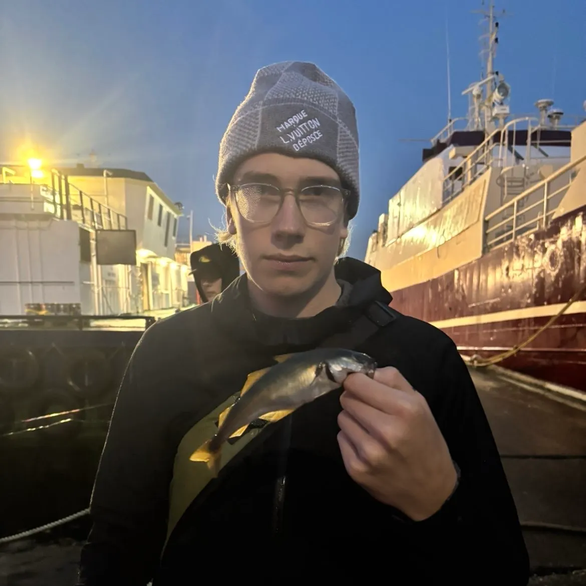 Atlantic pollock caught on Fishbrain