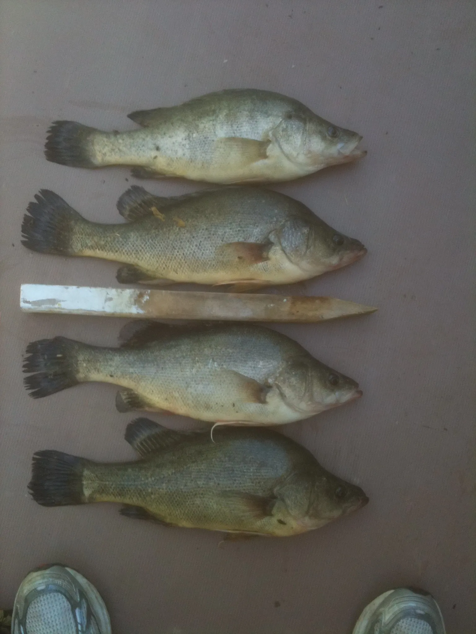 Post image from jeremywinzar