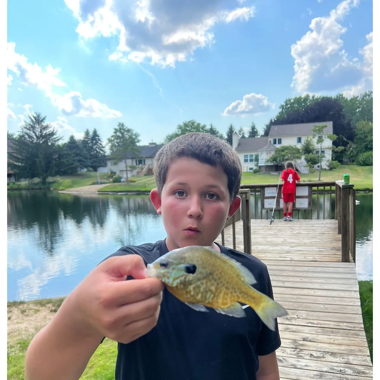 The most recent Pumpkingill hybrid catches on Fishbrain