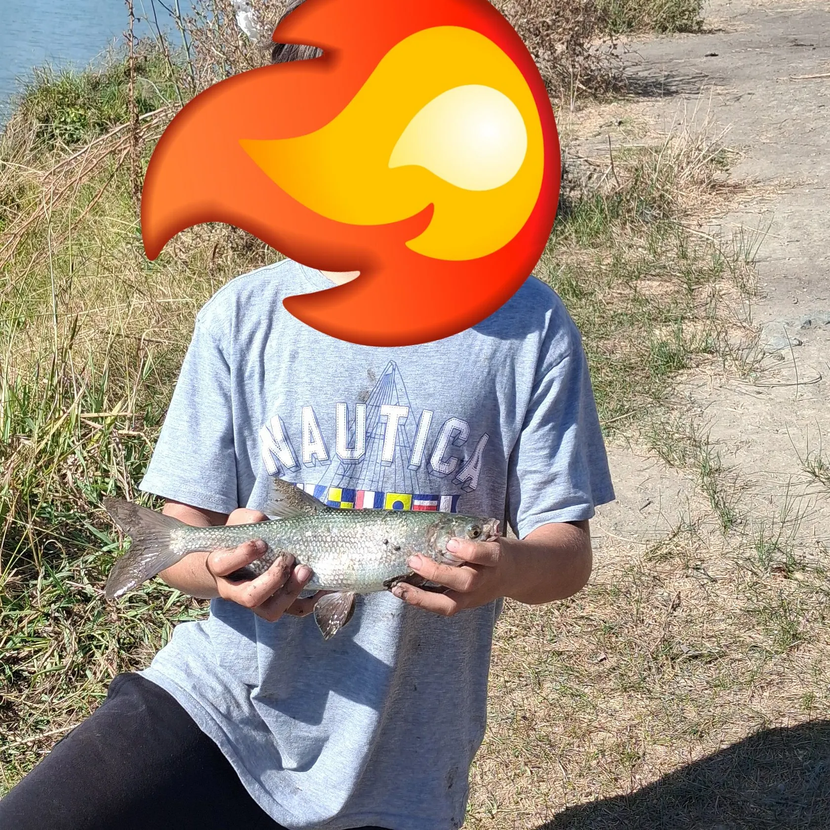 The most recent Splittail catches on Fishbrain
