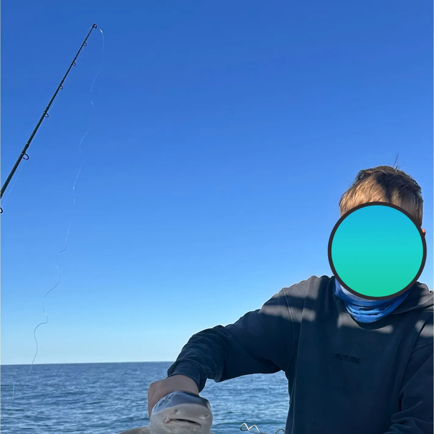 Gummy shark caught on Fishbrain