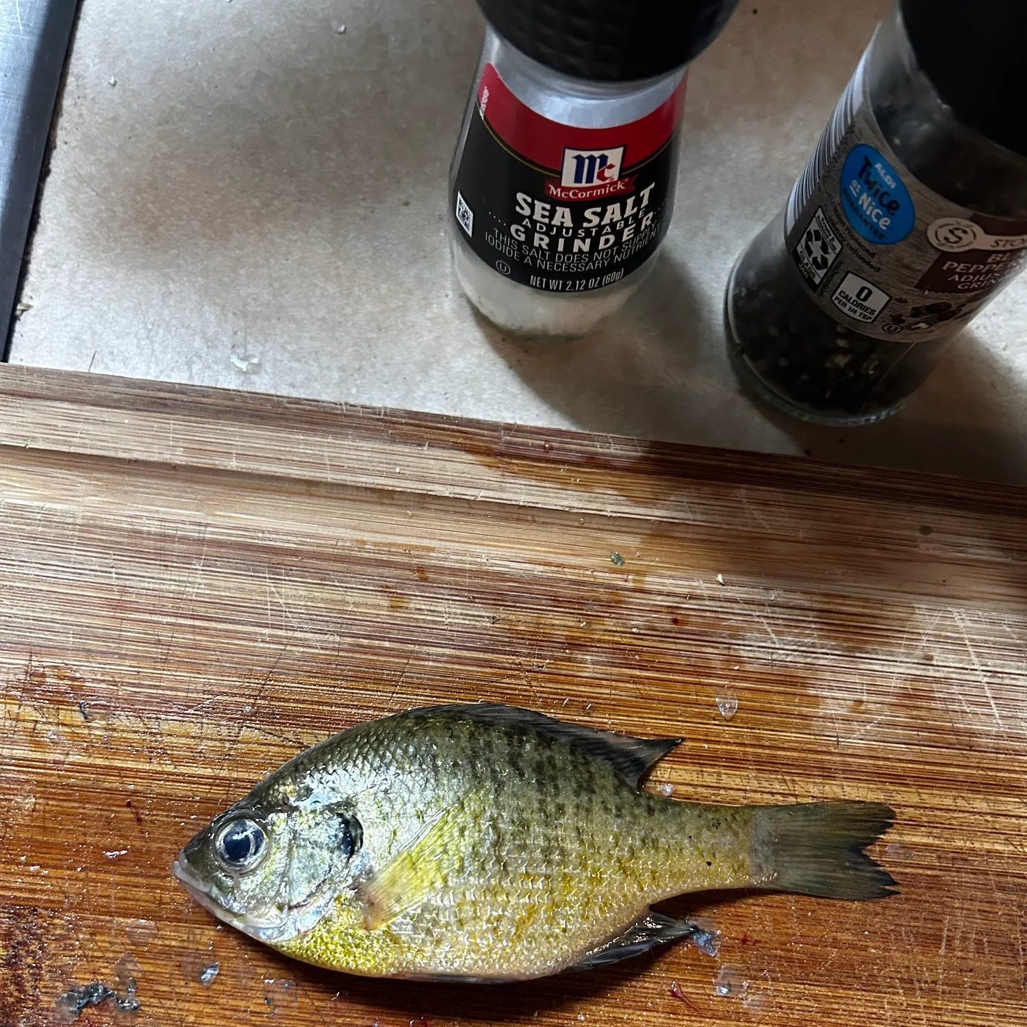 Bluegill caught on Fishbrain
