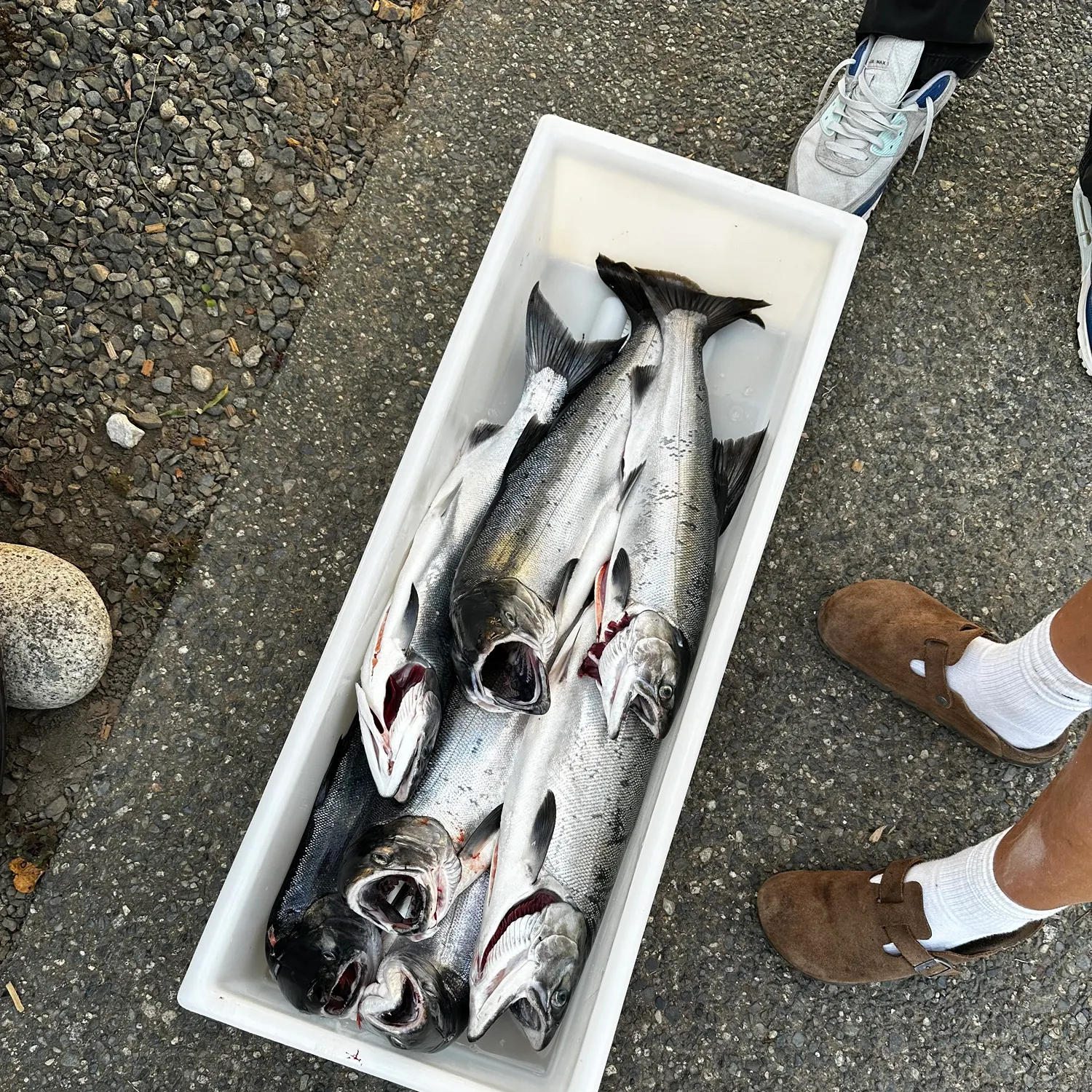 catch