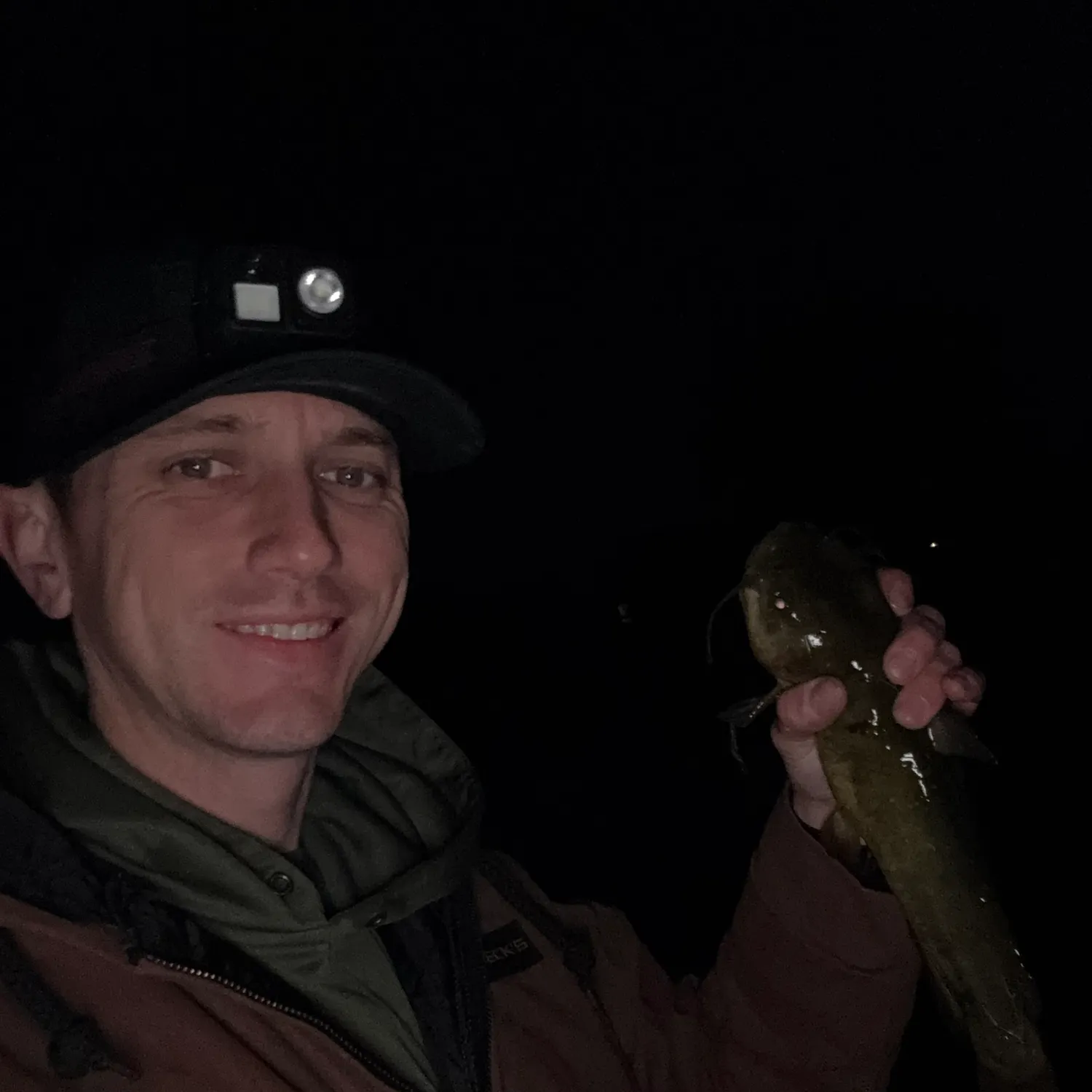 Yellow bullhead caught on Fishbrain