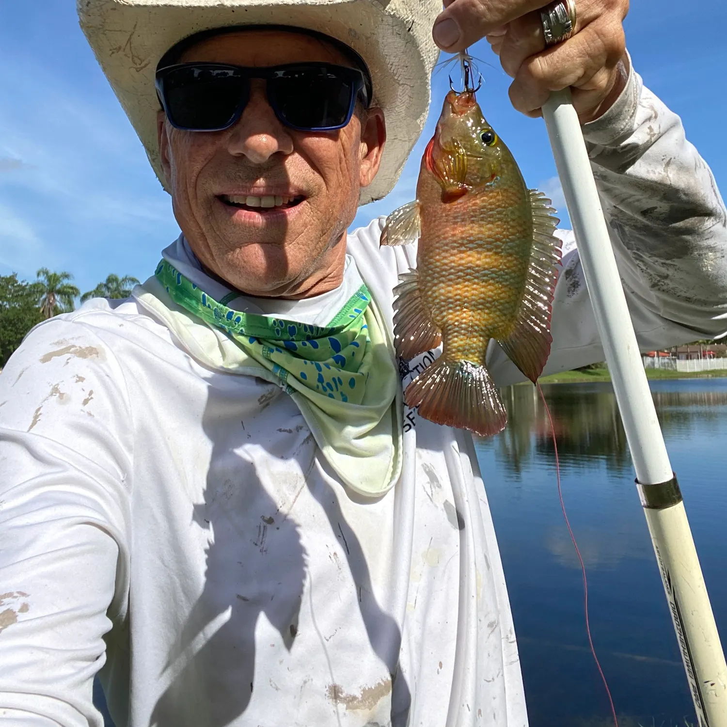 The most recent Redbreast tilapia catches on Fishbrain