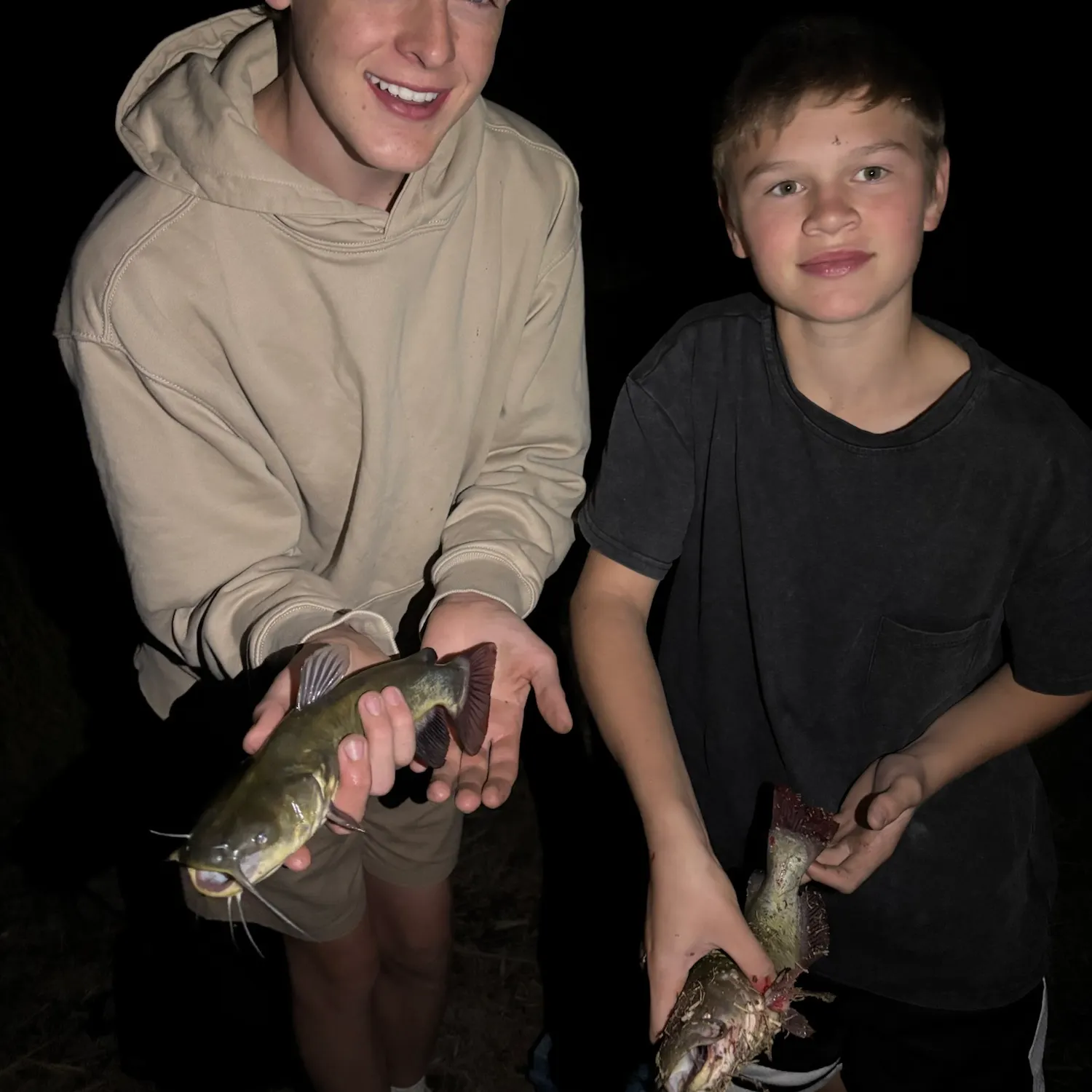 Black bullhead caught on Fishbrain