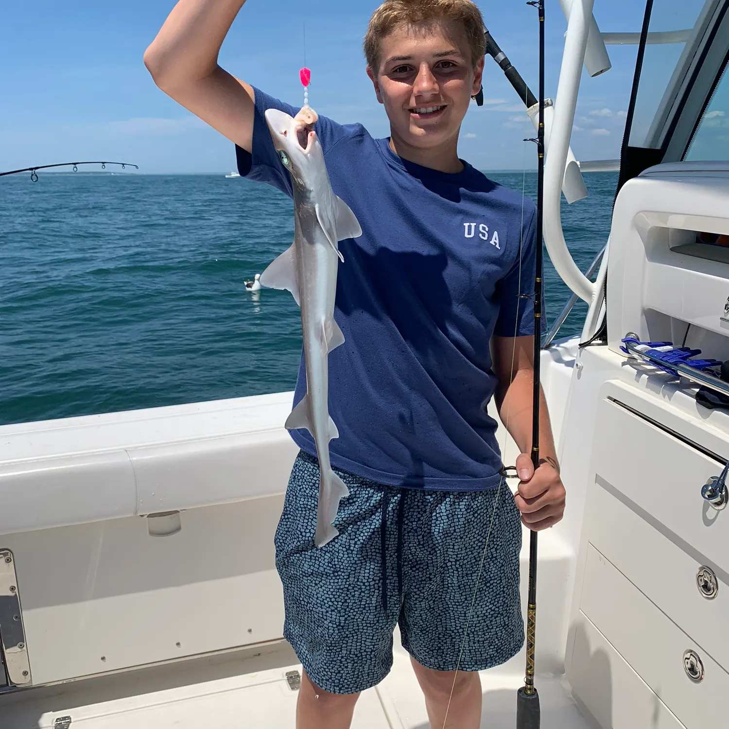 The most recent Grey smooth-hound catches on Fishbrain