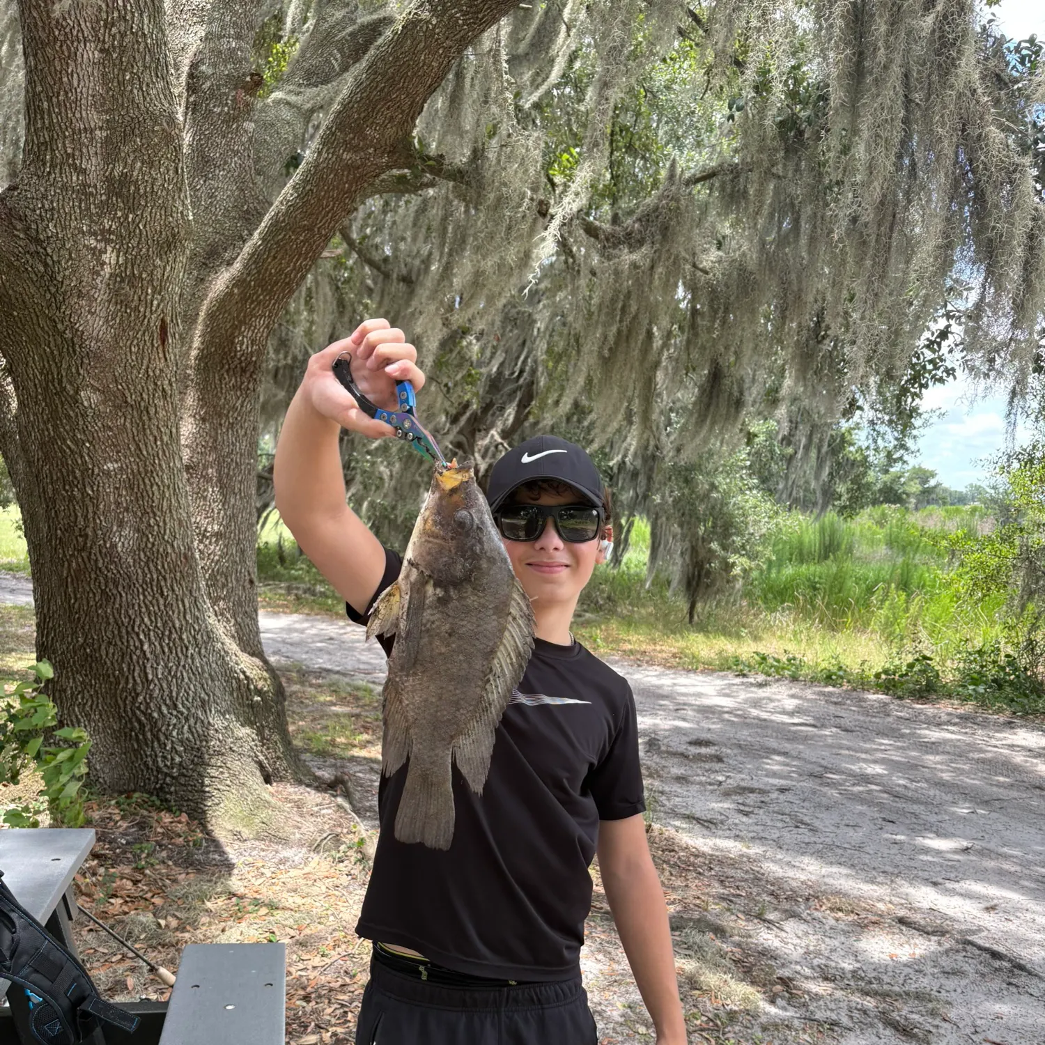 The most recent Atlantic tripletail catches on Fishbrain