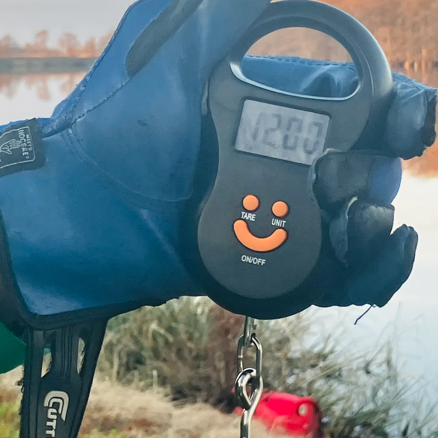 The most recent Eyetail bowfin catches on Fishbrain