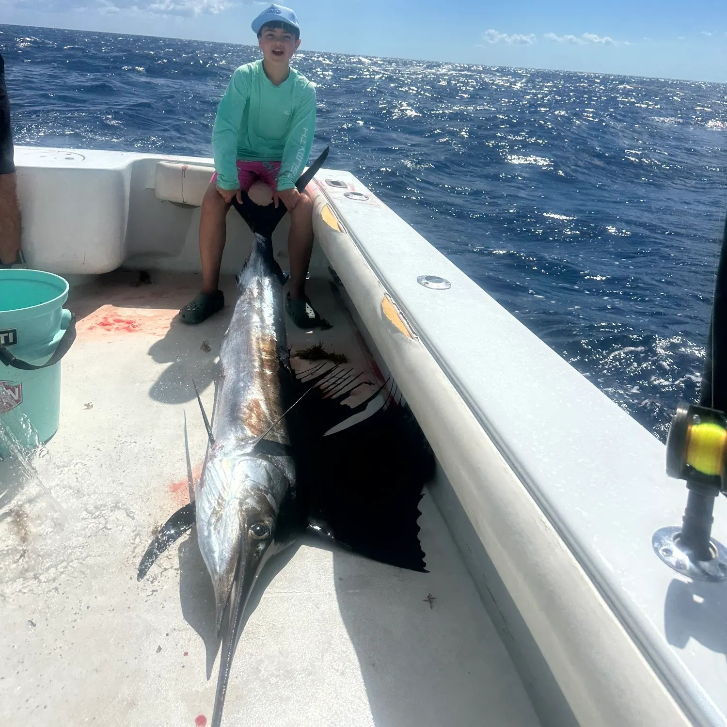 The most recent Indo-Pacific sailfish catches on Fishbrain