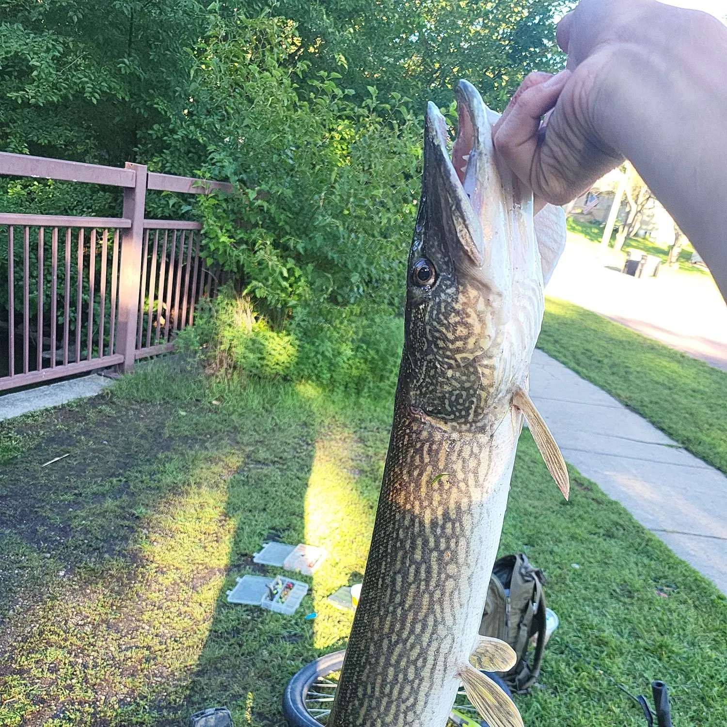catch