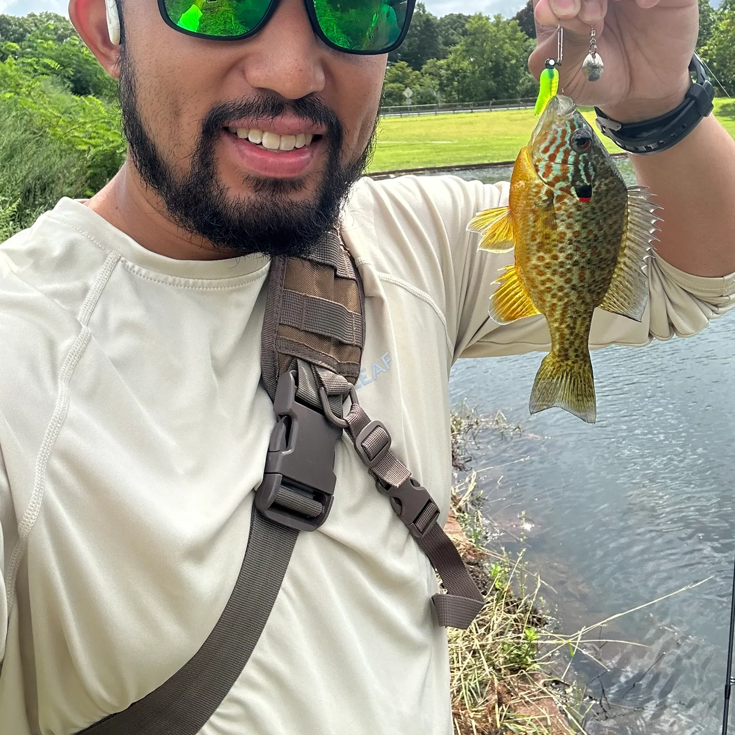 Pumpkinseed caught on Fishbrain