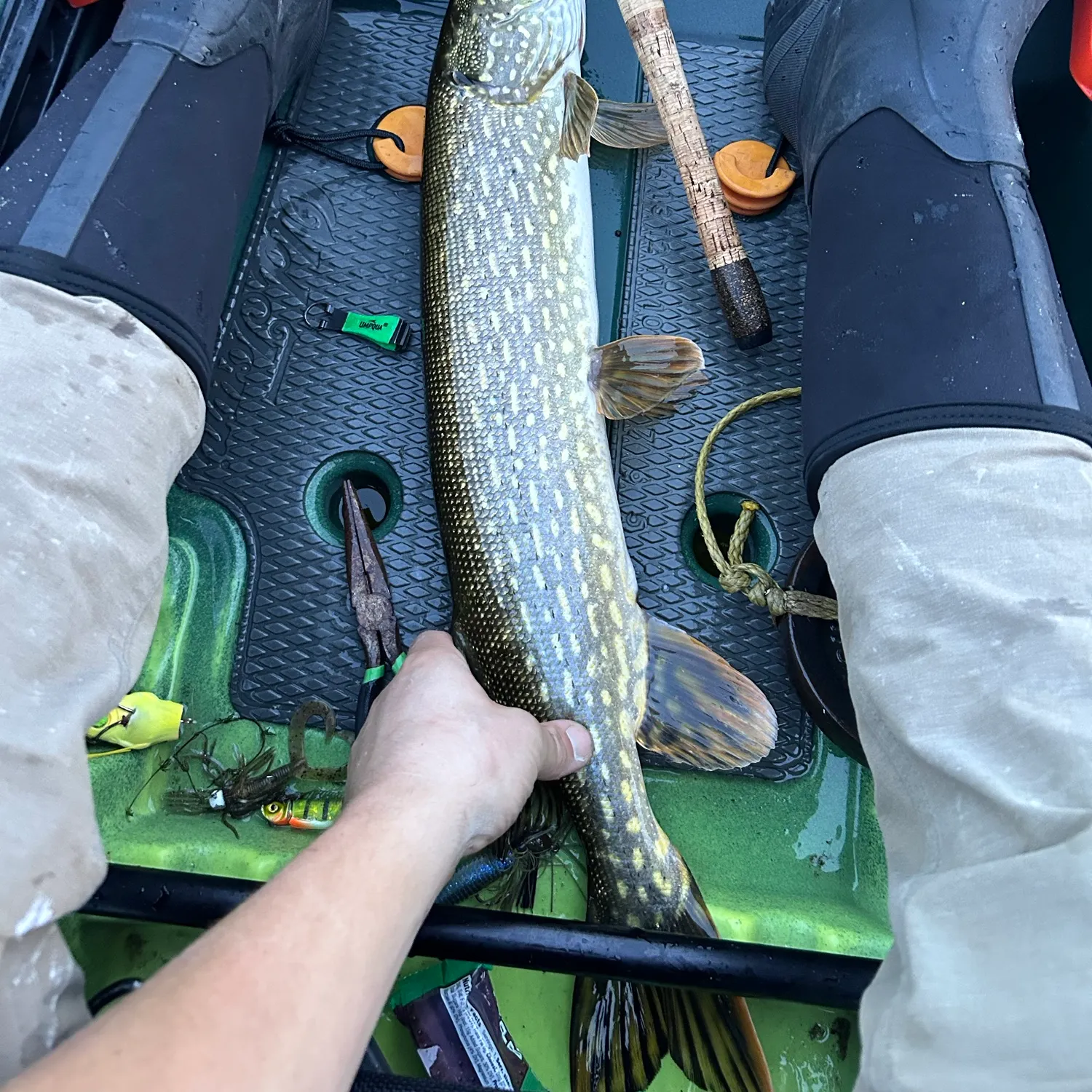 Northern pike caught on Fishbrain