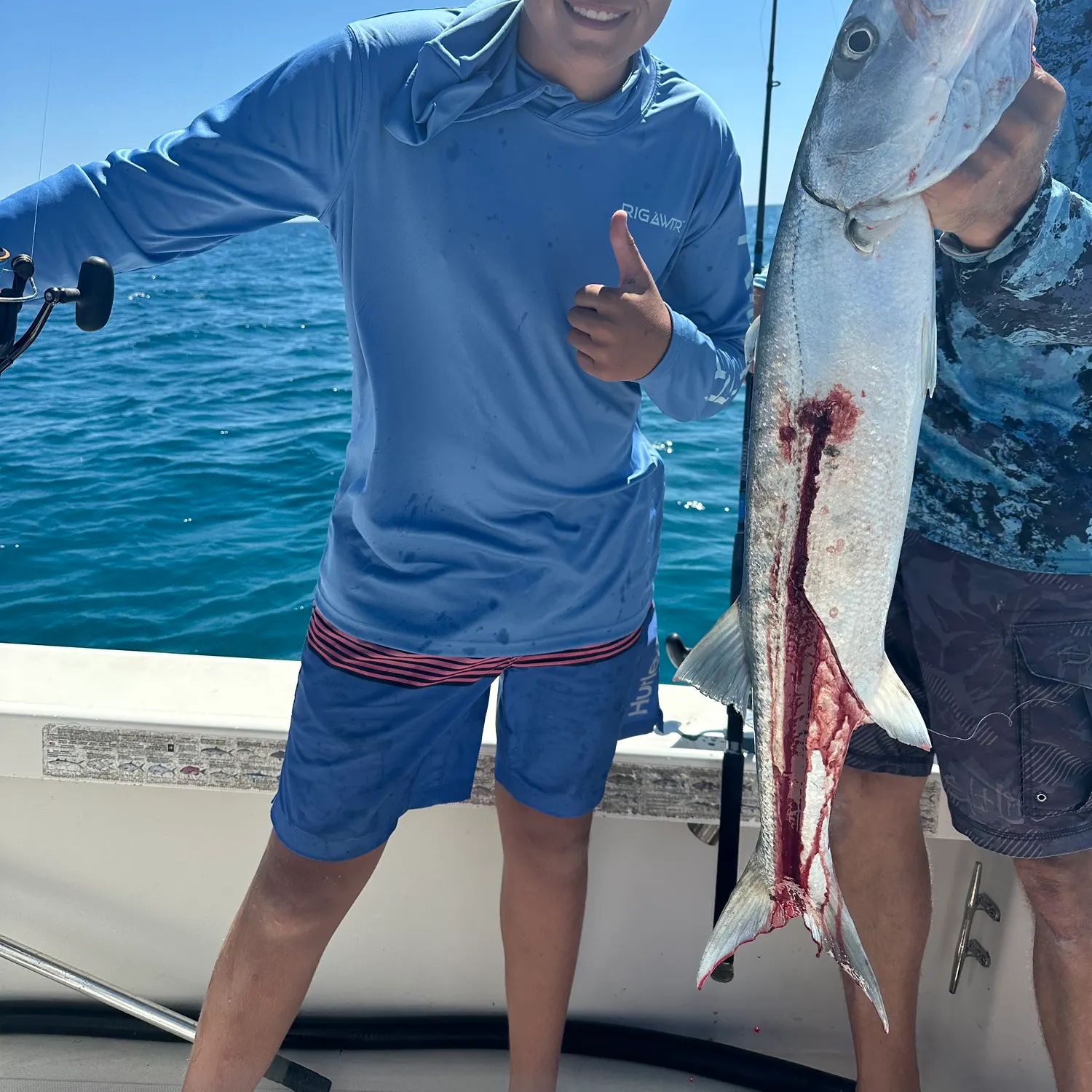 The most recent Great barracuda catches on Fishbrain