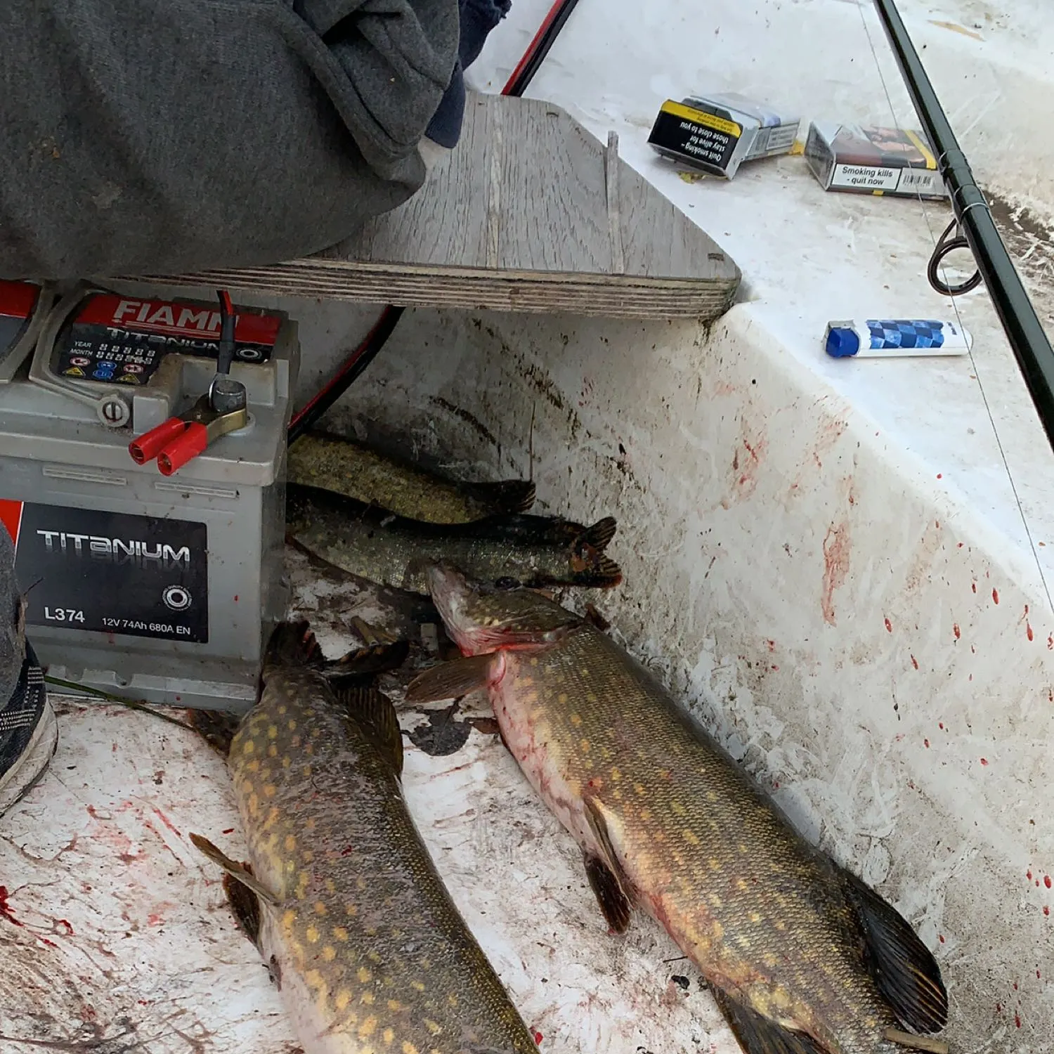 recently logged catches