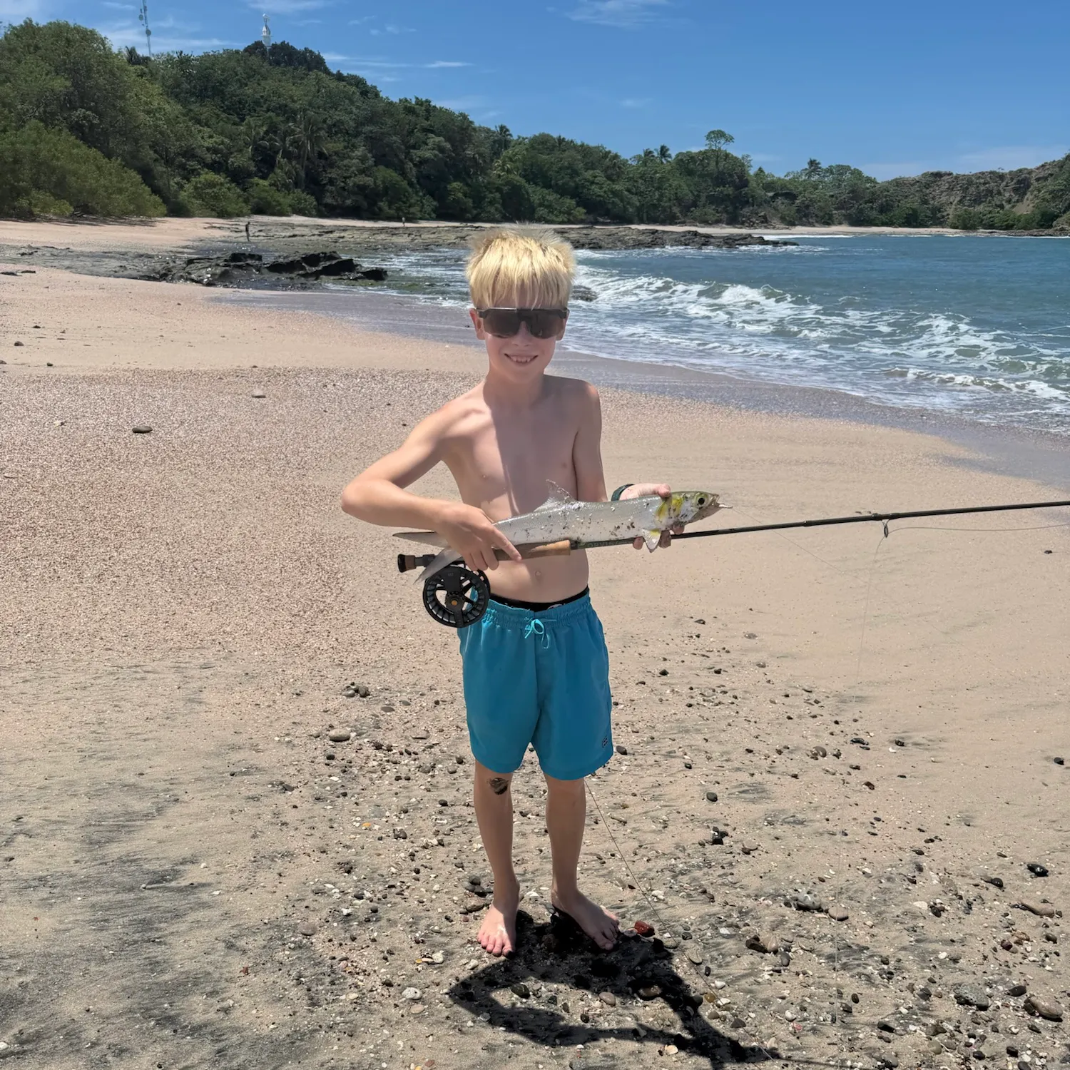 Ladyfish caught on Fishbrain