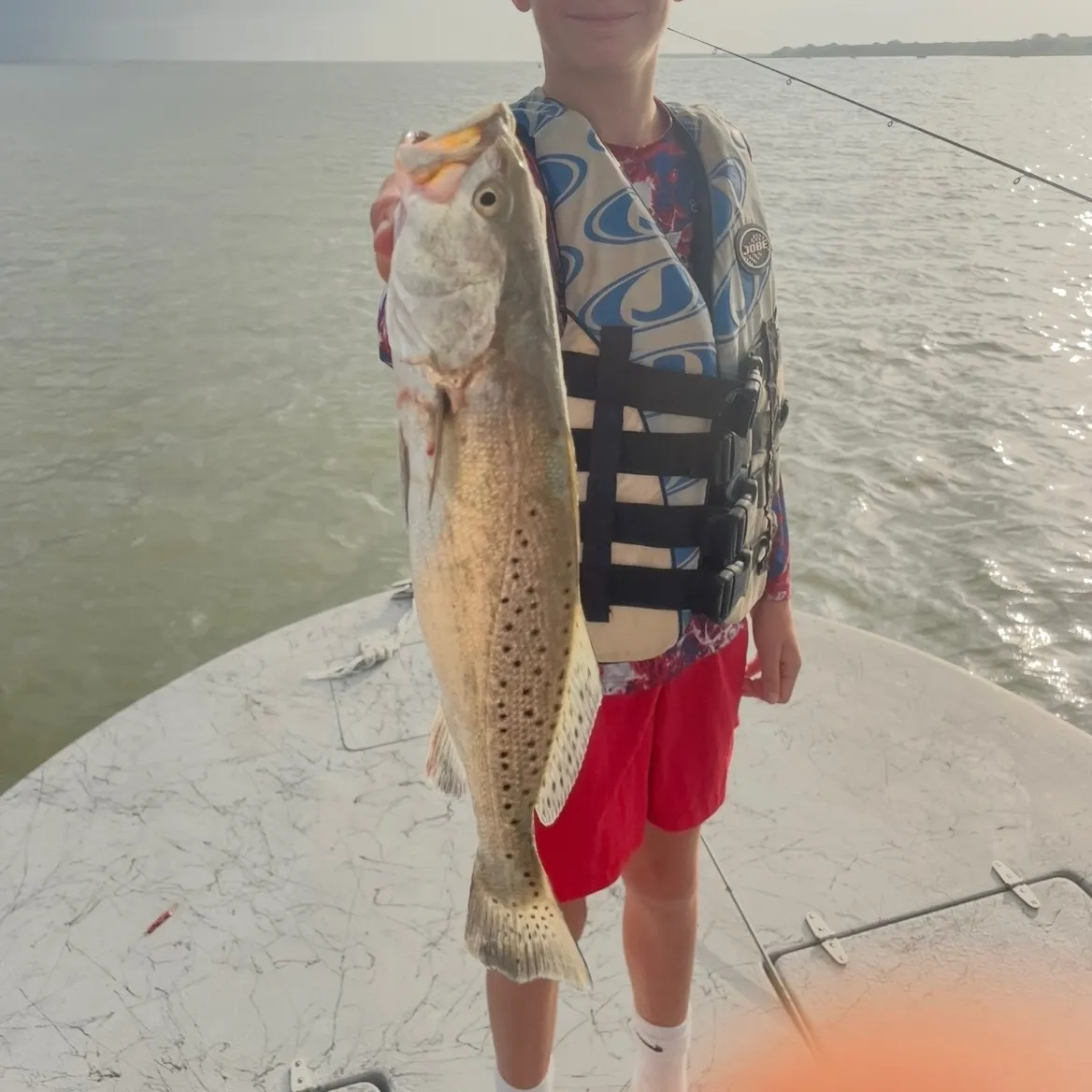 The most recent Spotted seatrout catches on Fishbrain