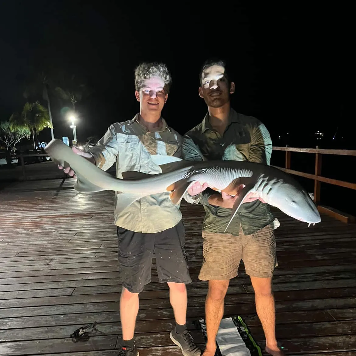 The most recent Tawny nurse shark catches on Fishbrain