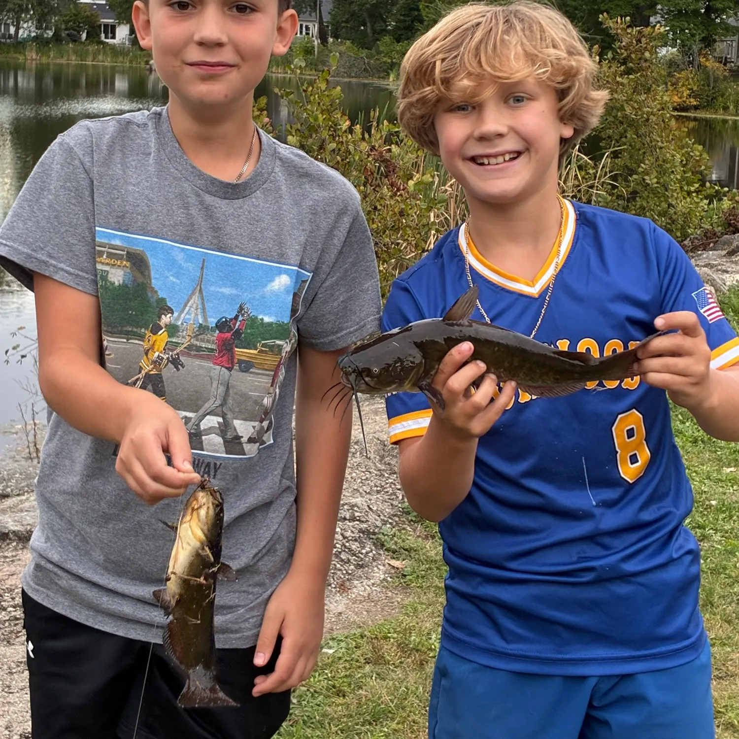 Yellow bullhead caught on Fishbrain