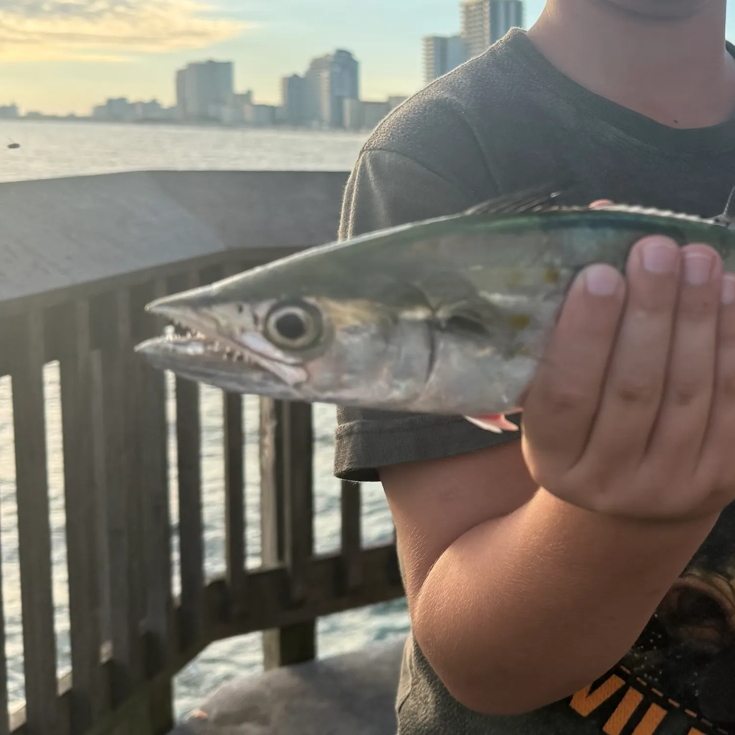Spanish mackerel caught on Fishbrain