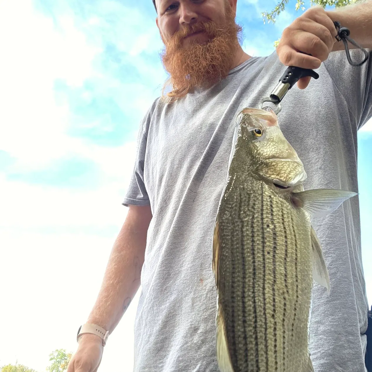 Wiper caught on Fishbrain
