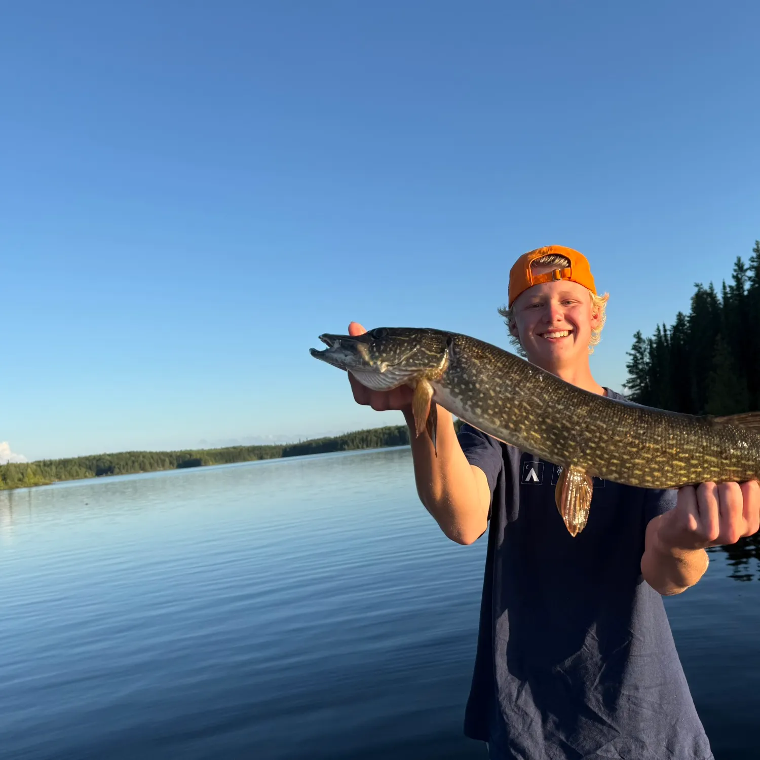 Northern pike caught on Fishbrain