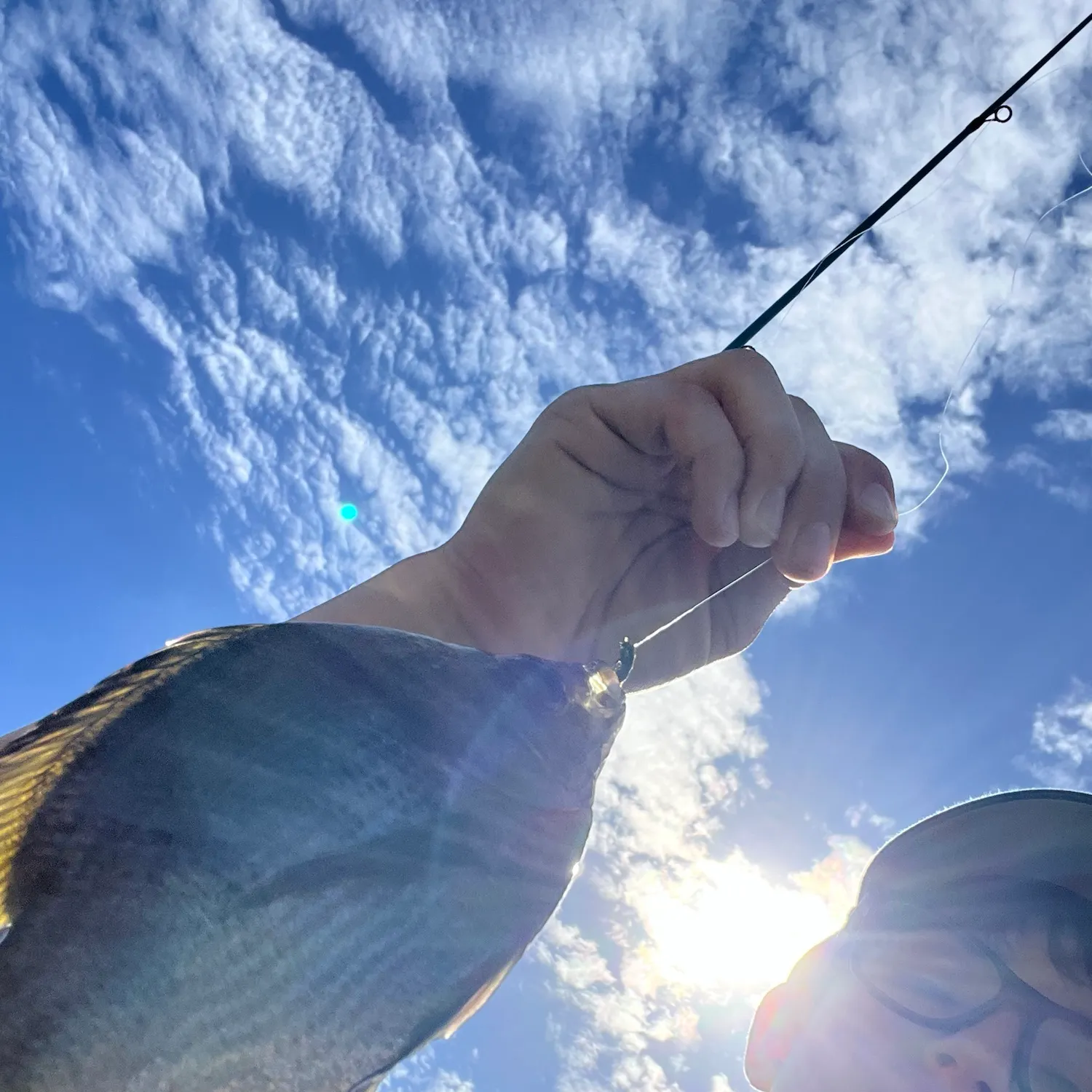 Bluegill caught on Fishbrain