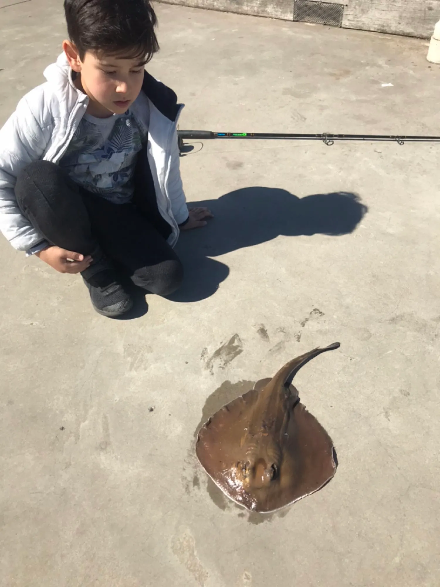 Post image from ayildirim1984