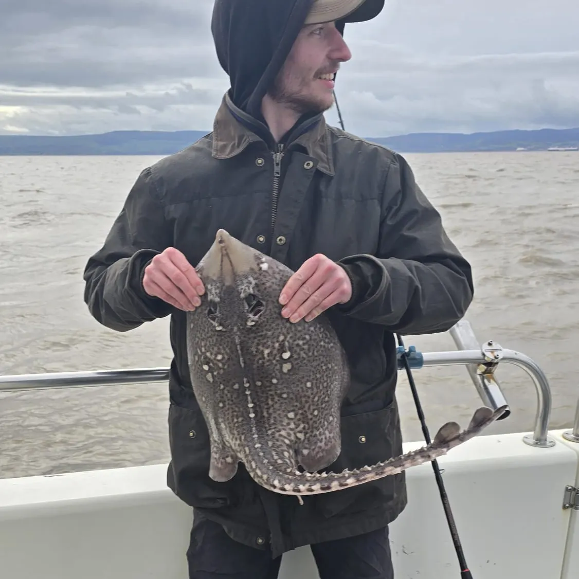 The most recent Thornback ray catches on Fishbrain